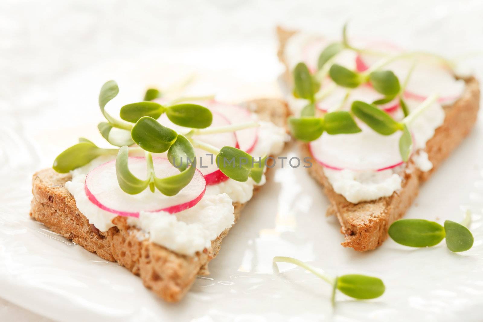  sandwiches with radish and sunflower sprouts by shebeko