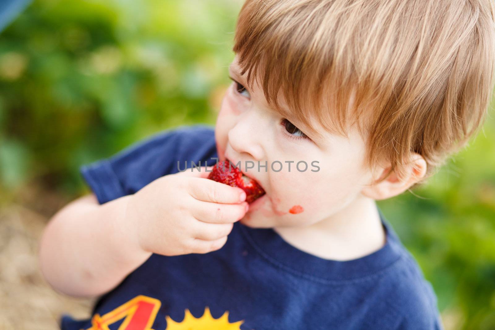 Boy eating a strawberry by Talanis