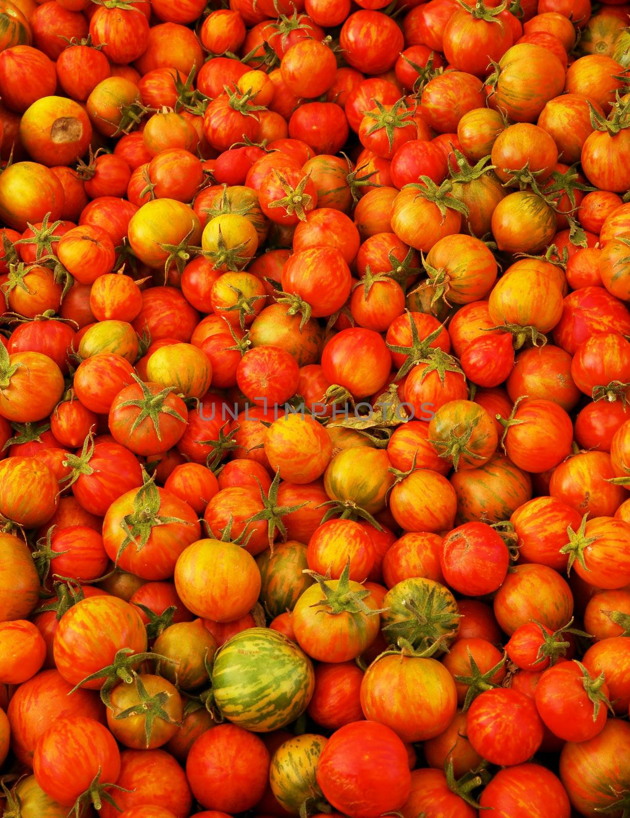 Red Juicy Heirloom Tomatoes by bobkeenan