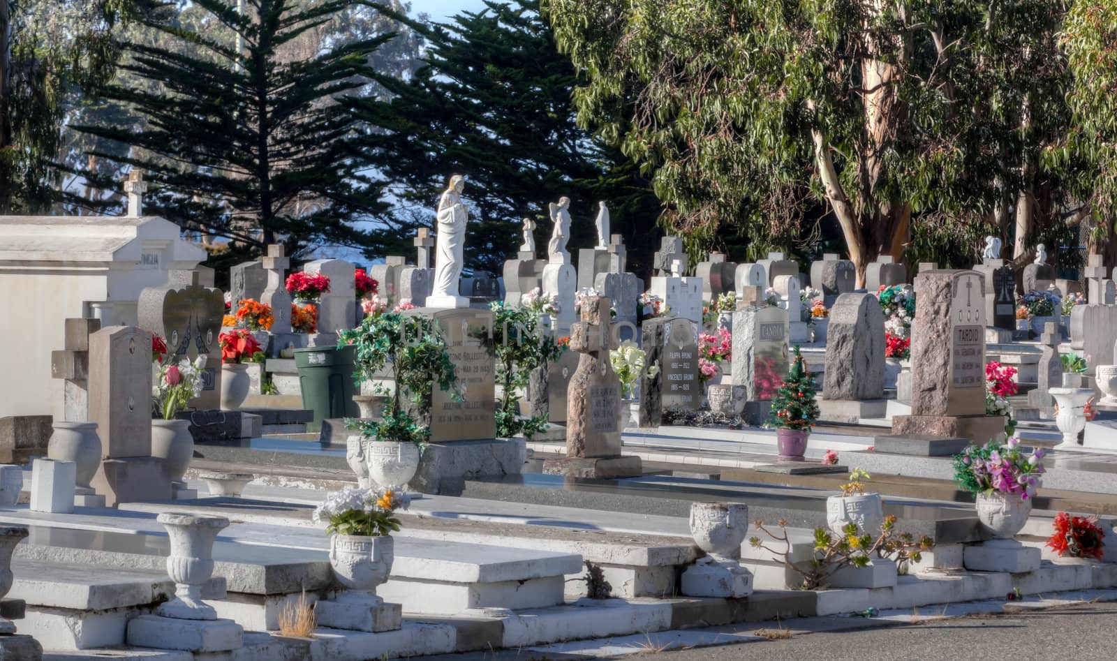 Lines of Grave Markers at San Carlos Cemetery.