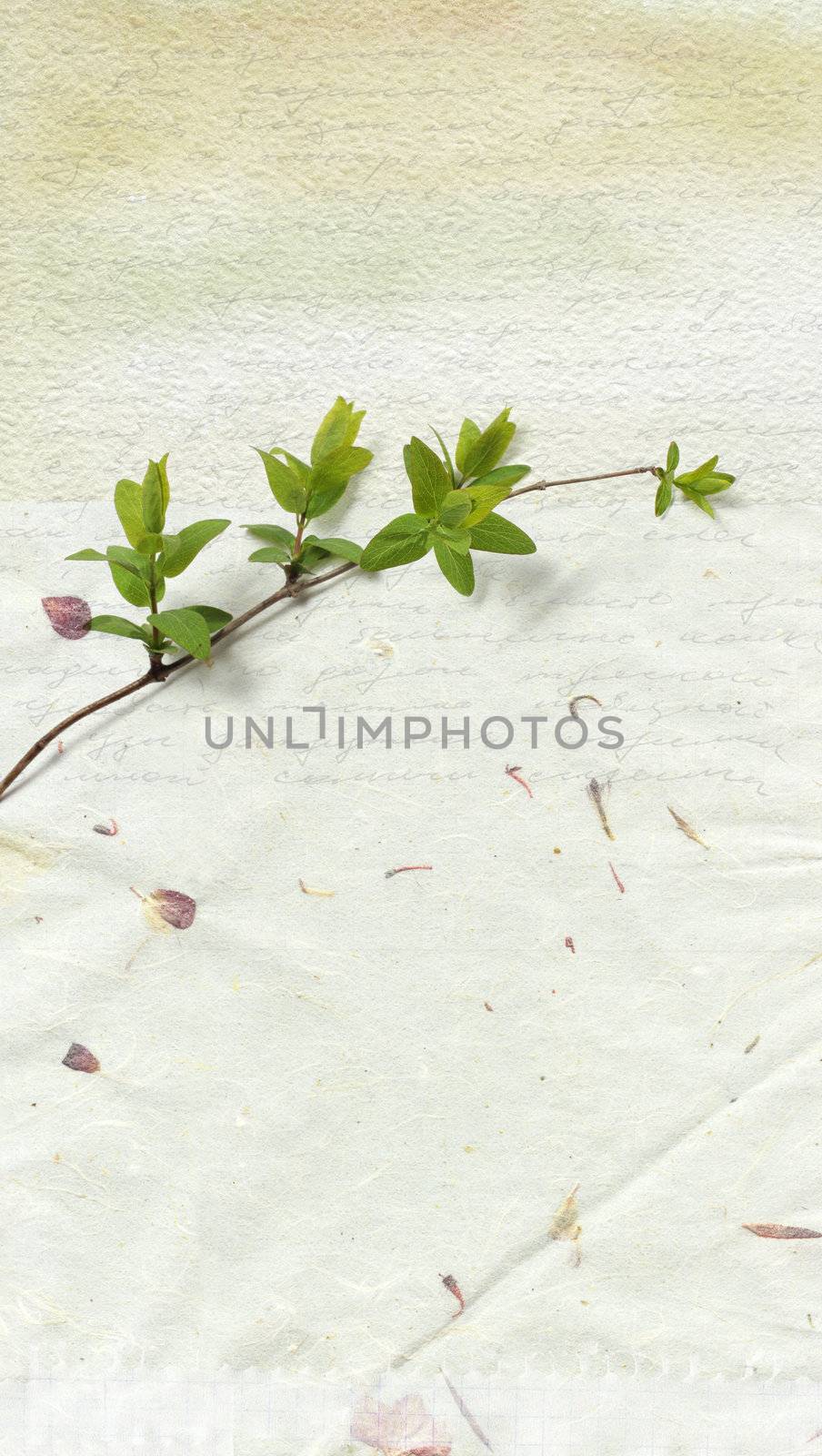 grunge paper background by rudchenko