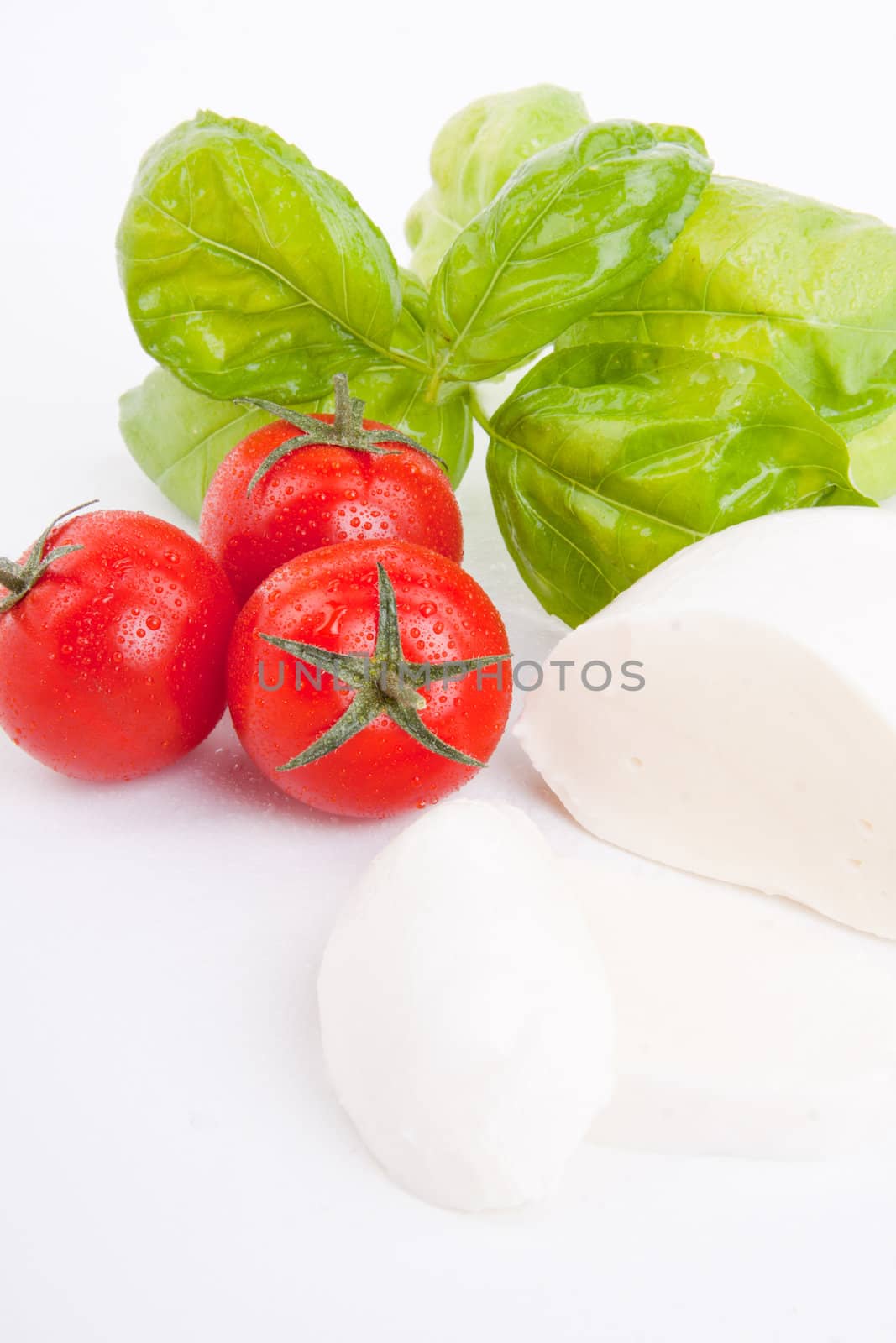 tasty tomatoe mozarella salad with basil isolated on white background