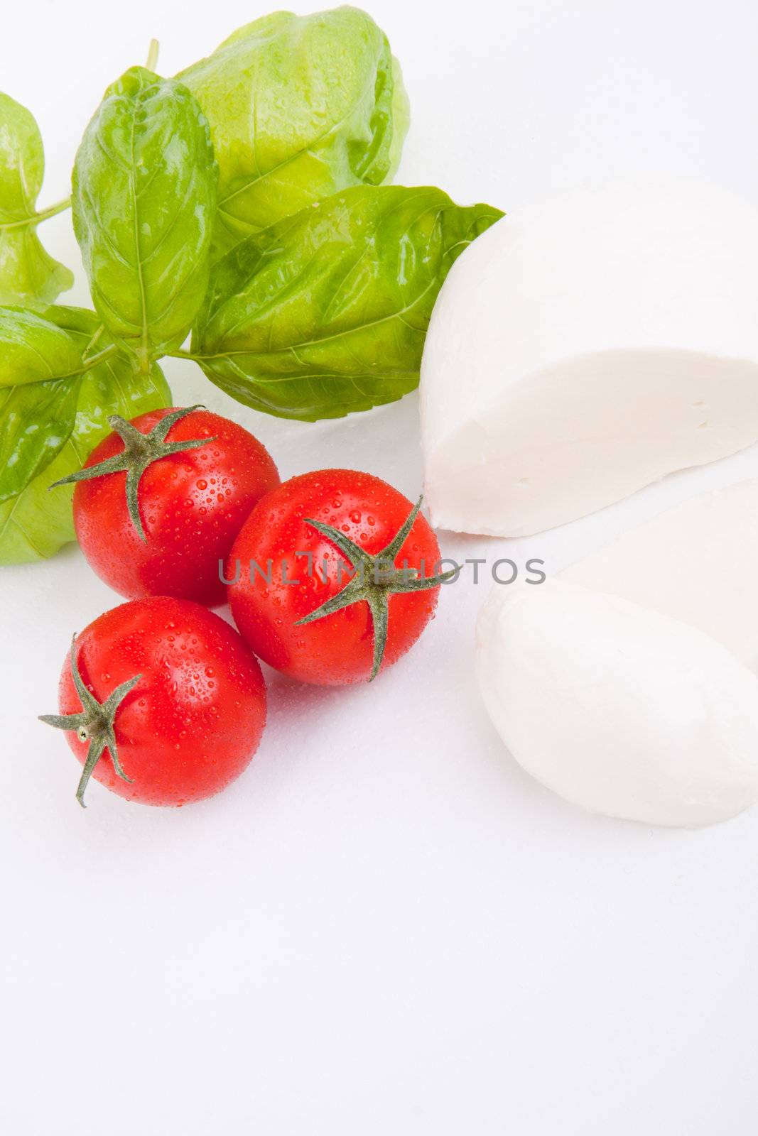 tasty tomatoe mozarella salad with basil isolated on white background