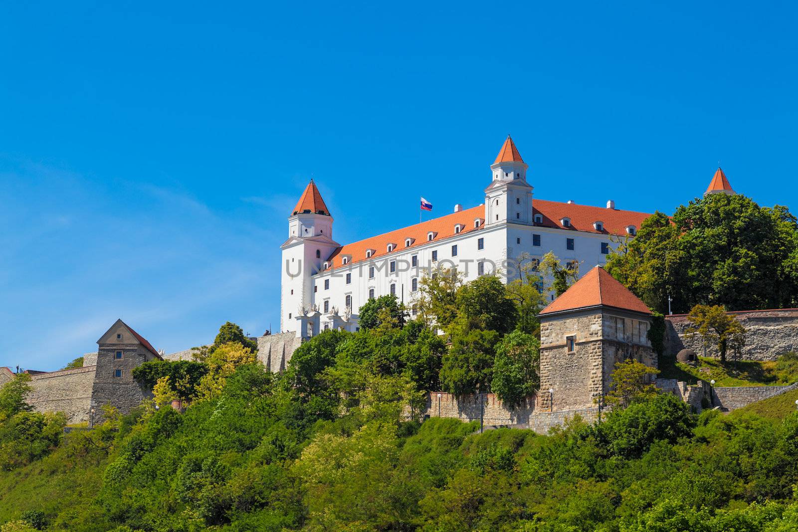 Castle in Bratislava, Slovak Republic