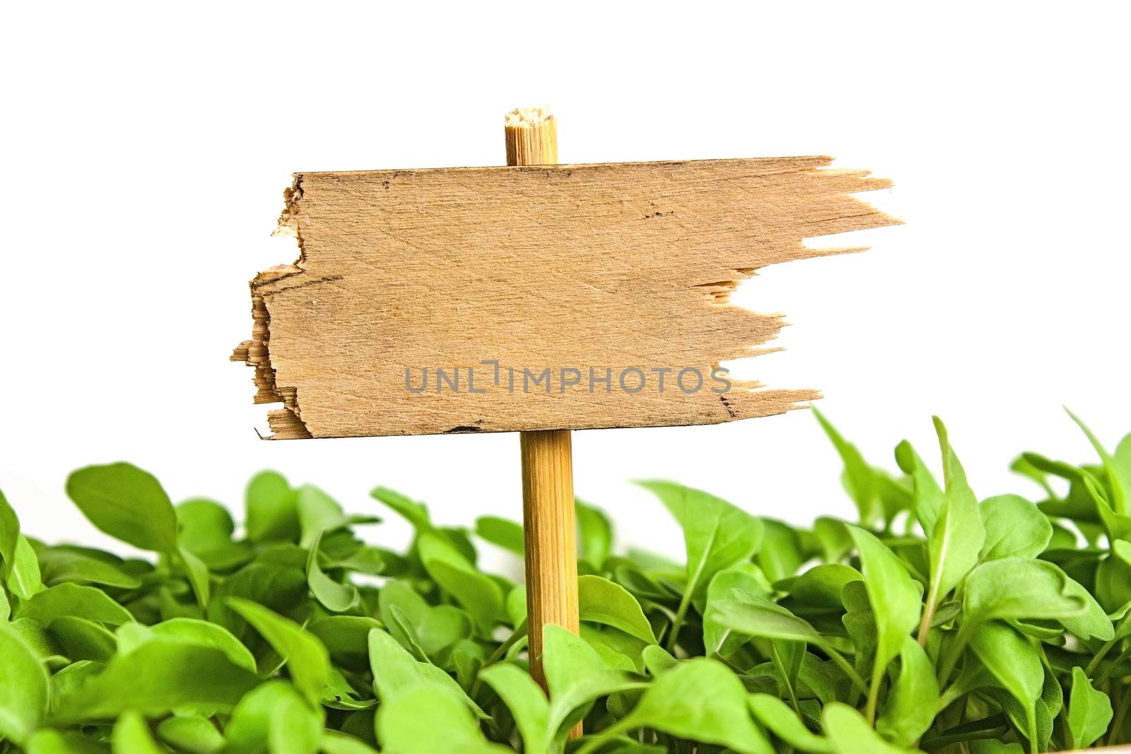 sign a pointer to the board isolated on white background