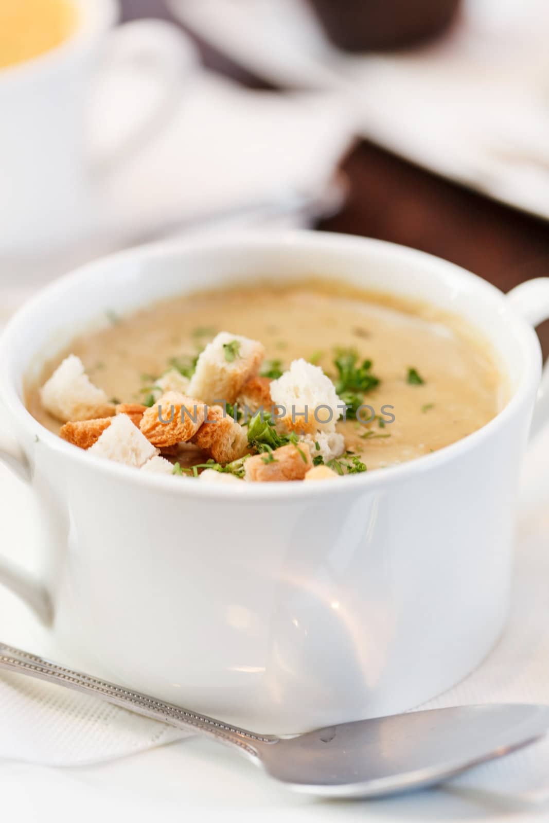 mushrooms cream soup