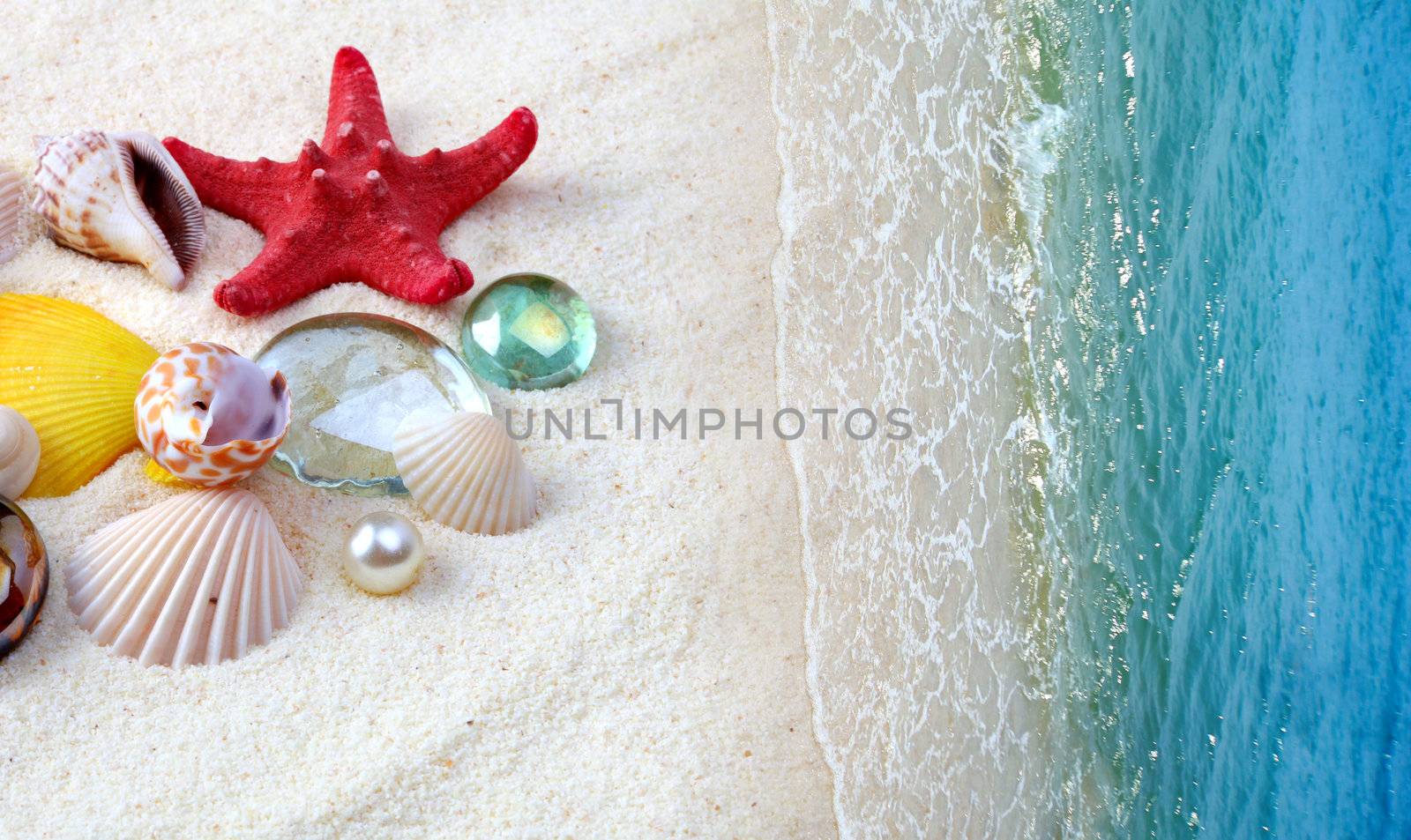 sea shells on sand beach by rudchenko