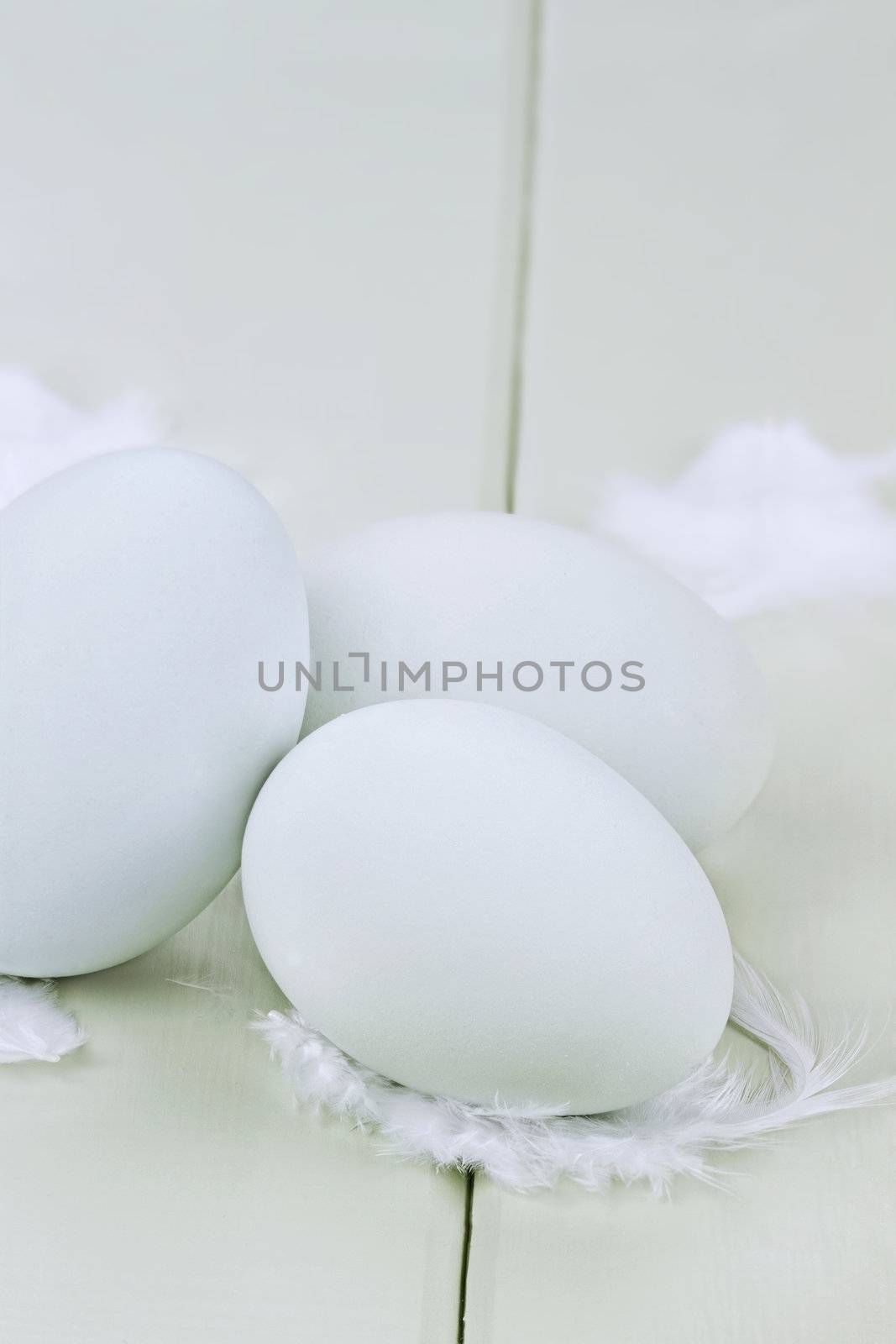 Fresh farm raised free range Ameraucana eggs over a green wooden background. Ameraucana eggs are naturally tinted blue or green.
