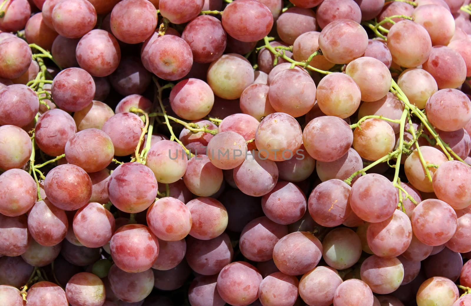 bunch of red grapes by irisphoto4
