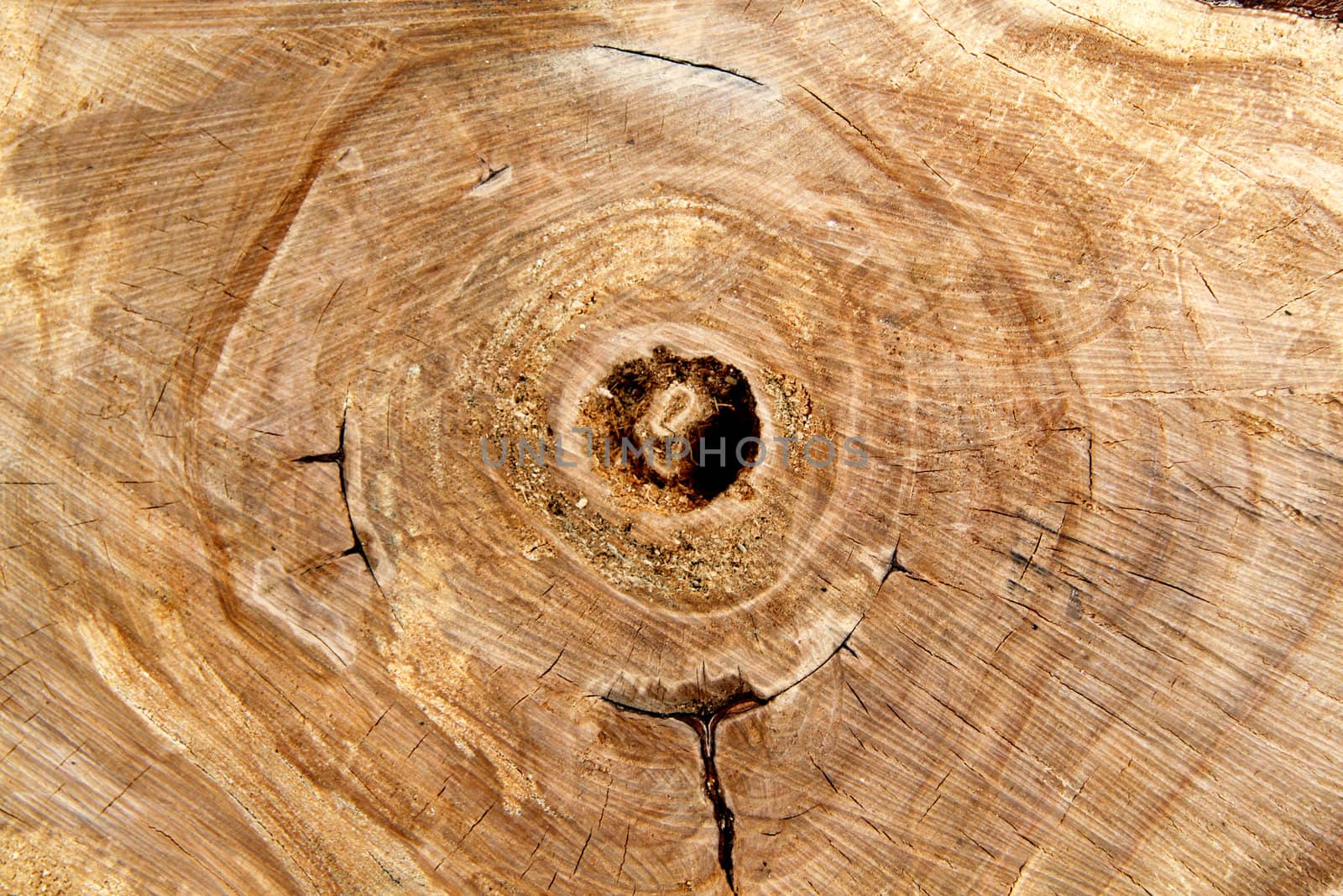 Wooden logs stacked in series