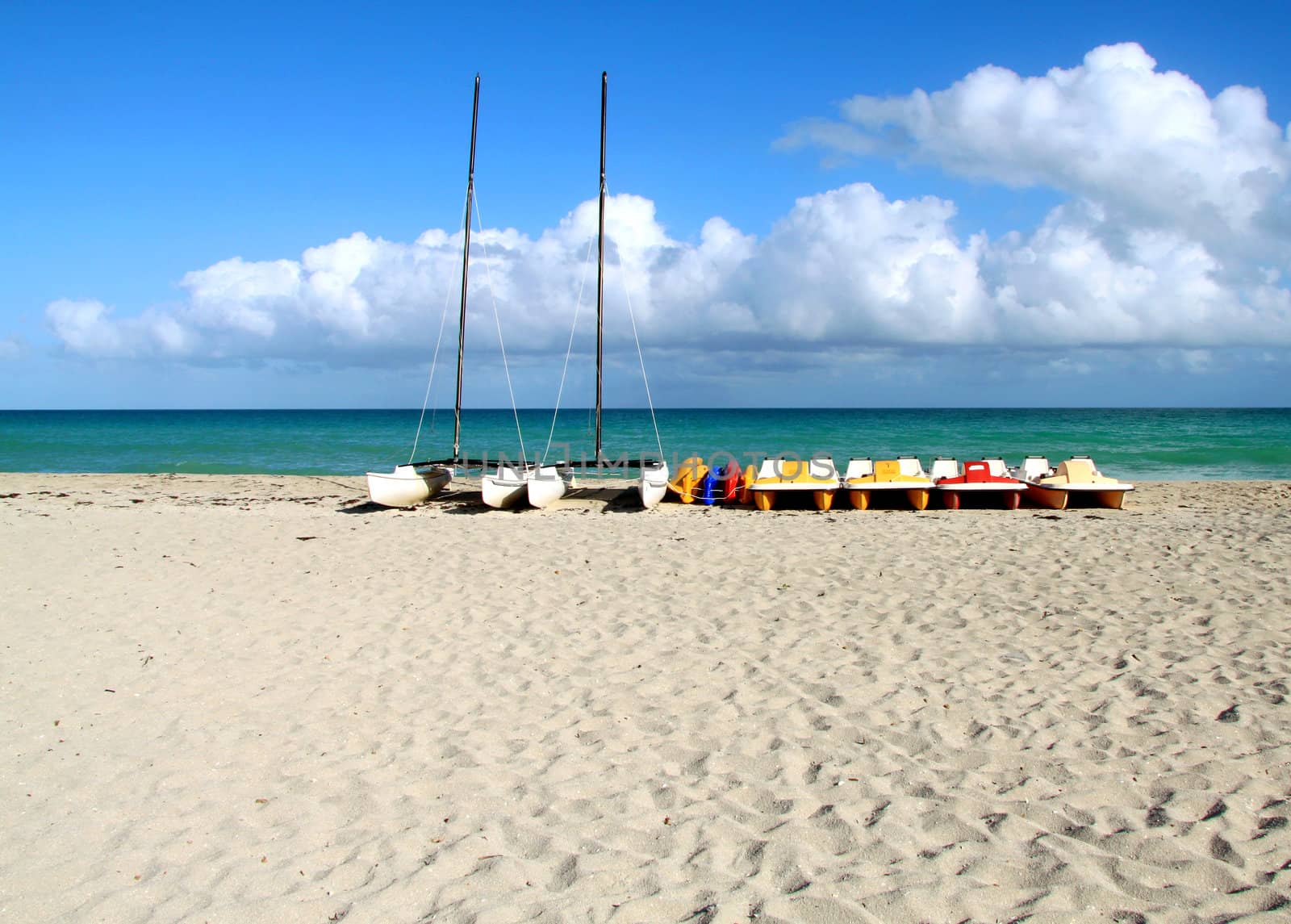 Landscape on the shores of the Atlantic Ocean