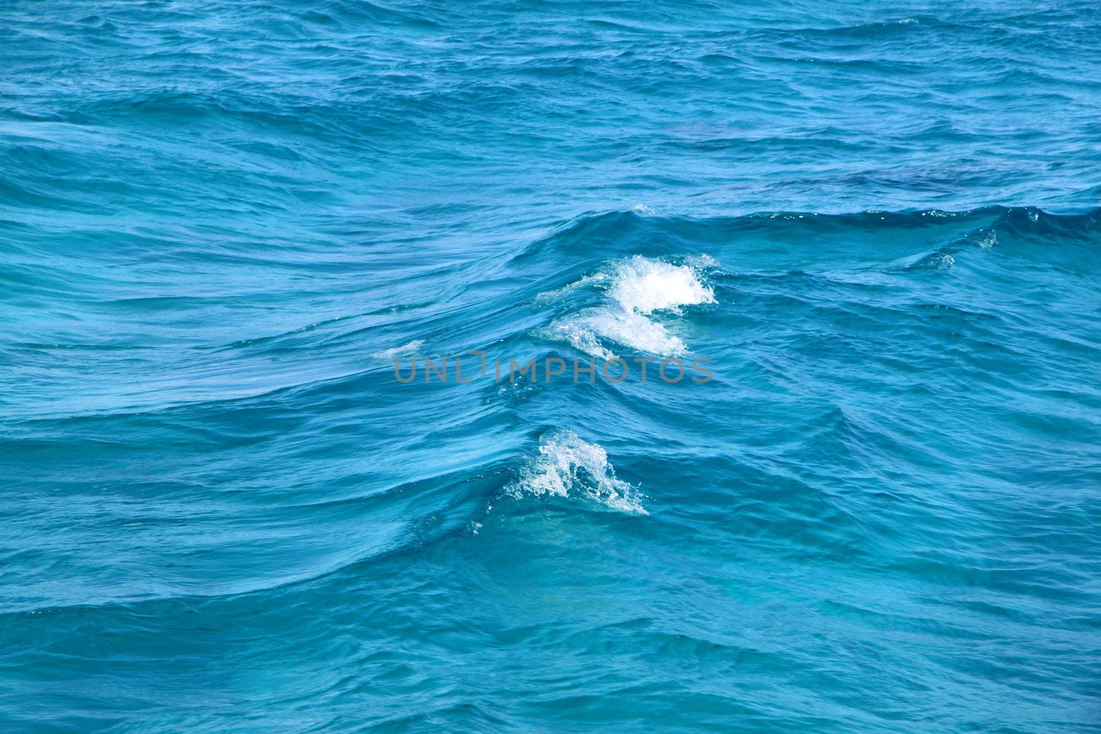 Sea wave in the Red Sea in Egypt