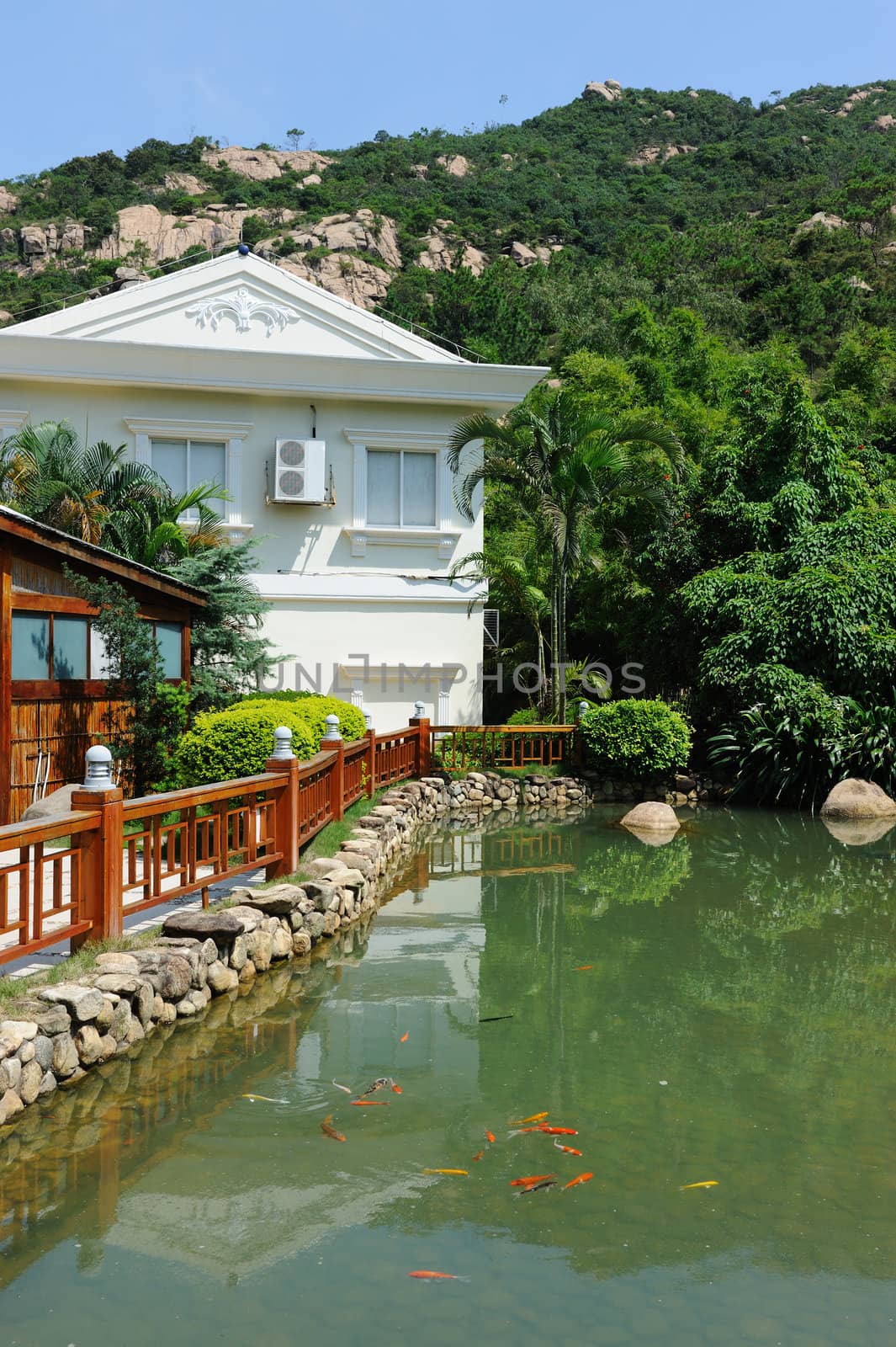 Garden with pond, tree, mountain and building background