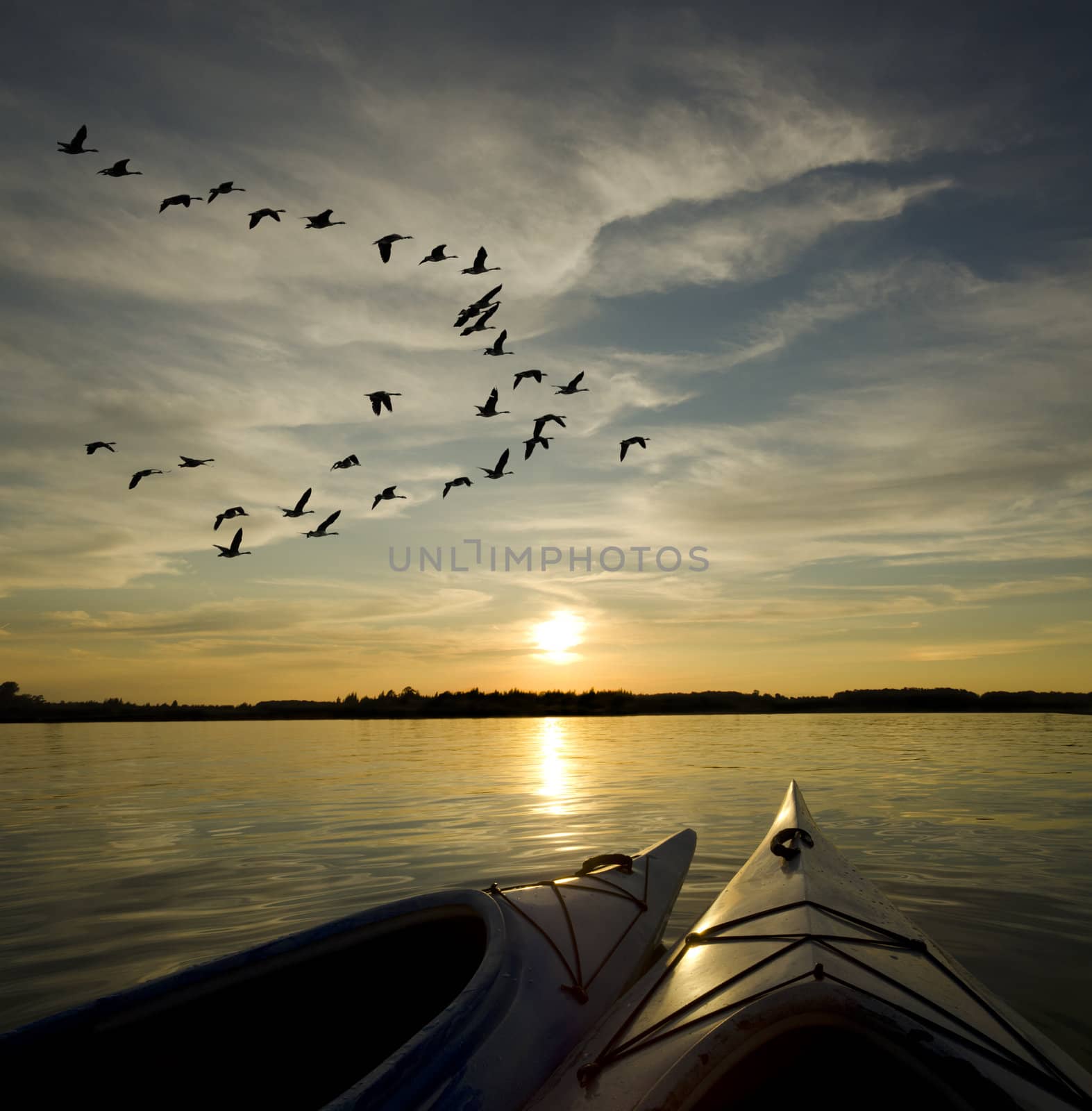 Kayaks on Lake Ontario Sunset by Gordo25