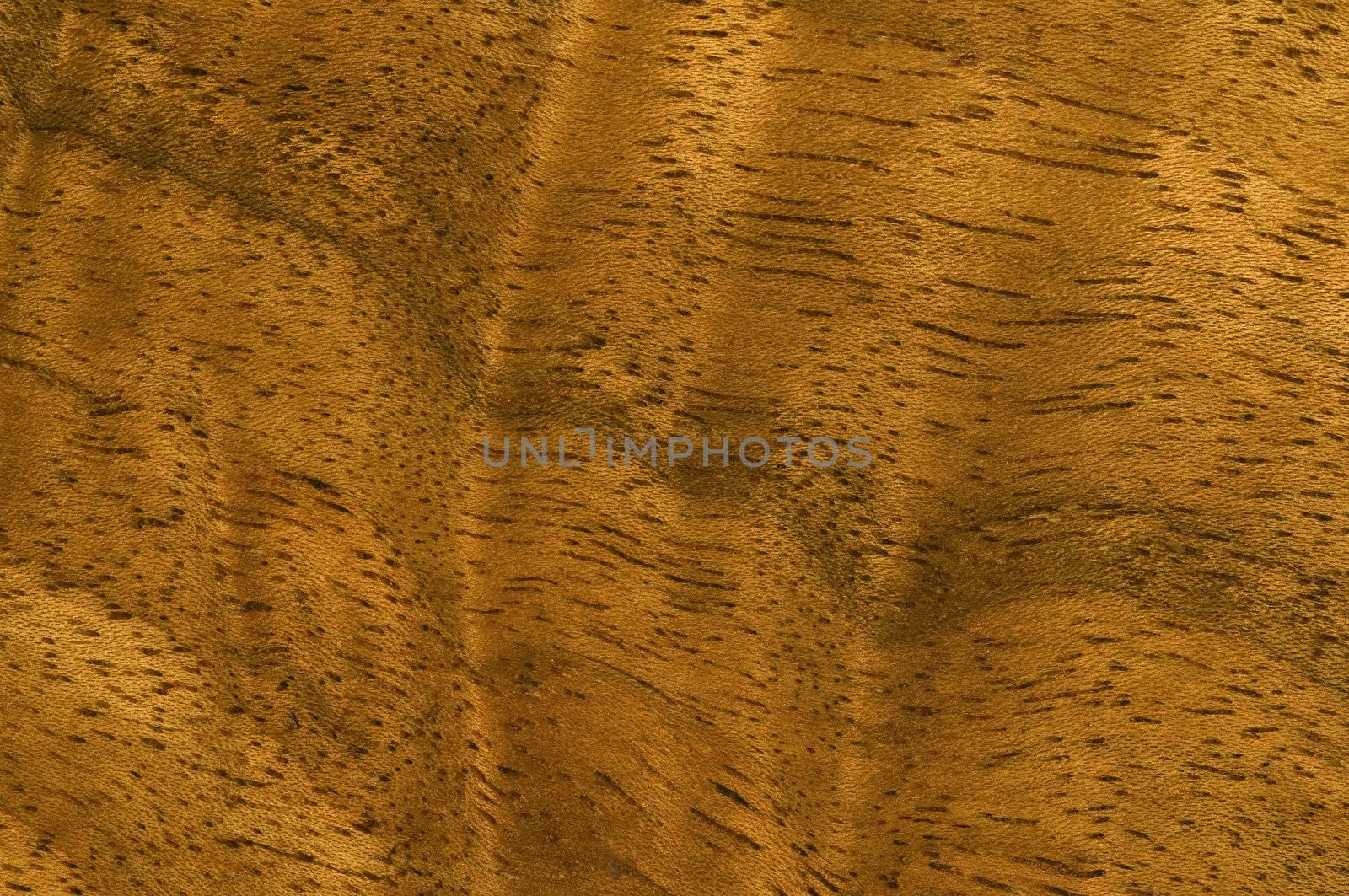 Macro image of ornate antique wood grain.