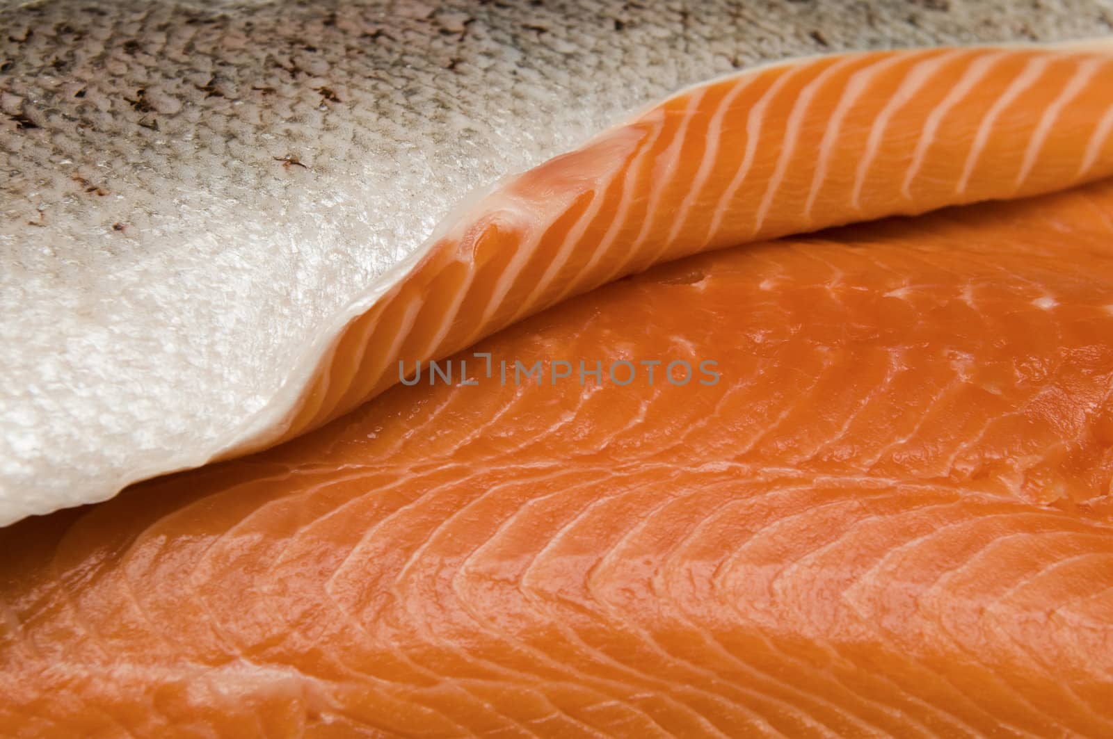 Selective focus on the edge of a fresh salmon fillet