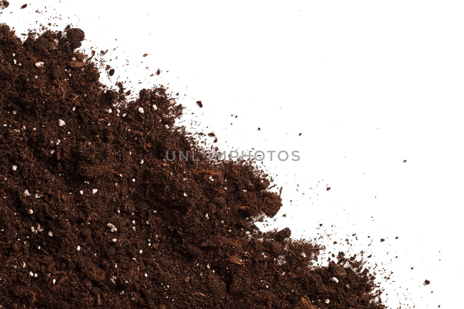 Soil on the white