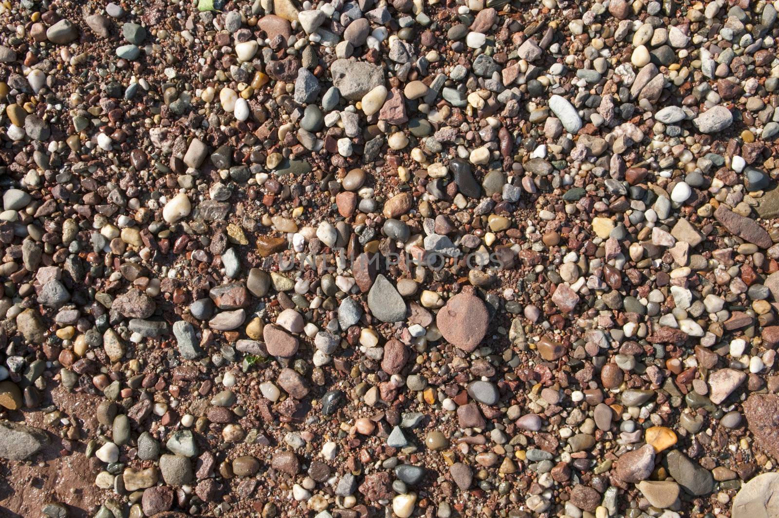 Background of small pebbles from the Bay of Fundy shoreline