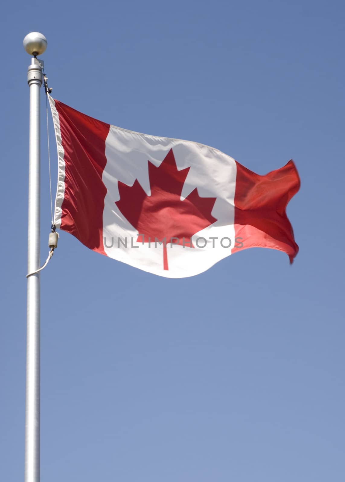 Vertical photo of the Canadian flag flying in the breeze.