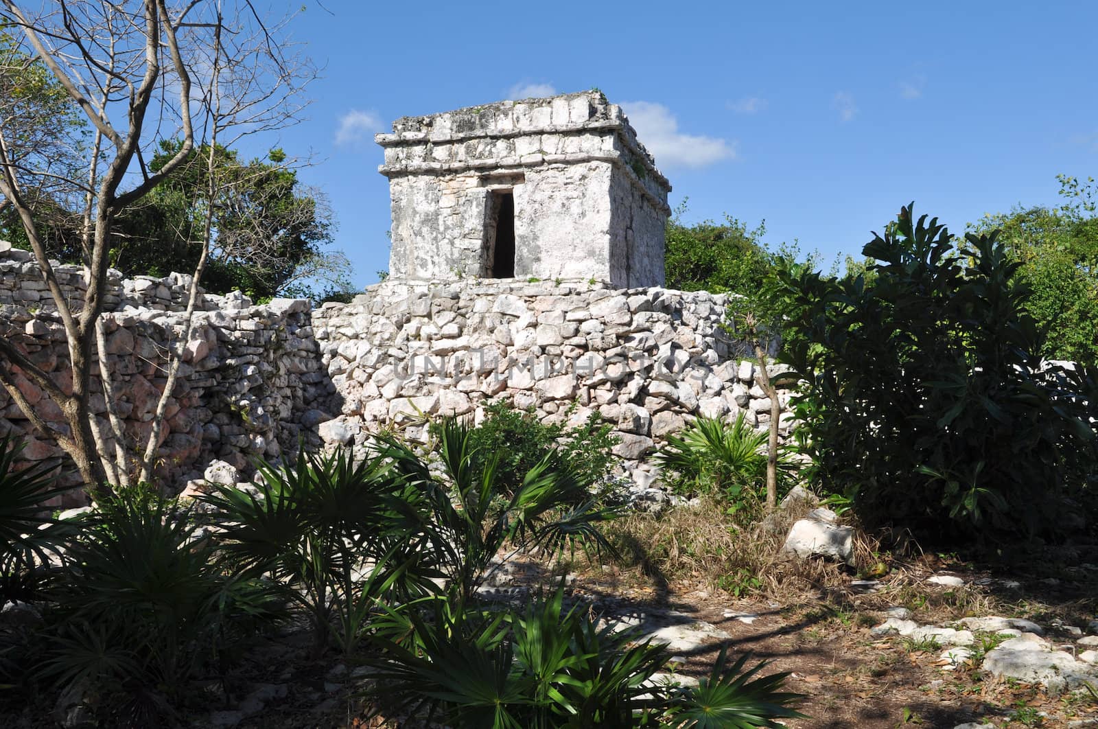 Tulum Mayan Ruins in Mexico