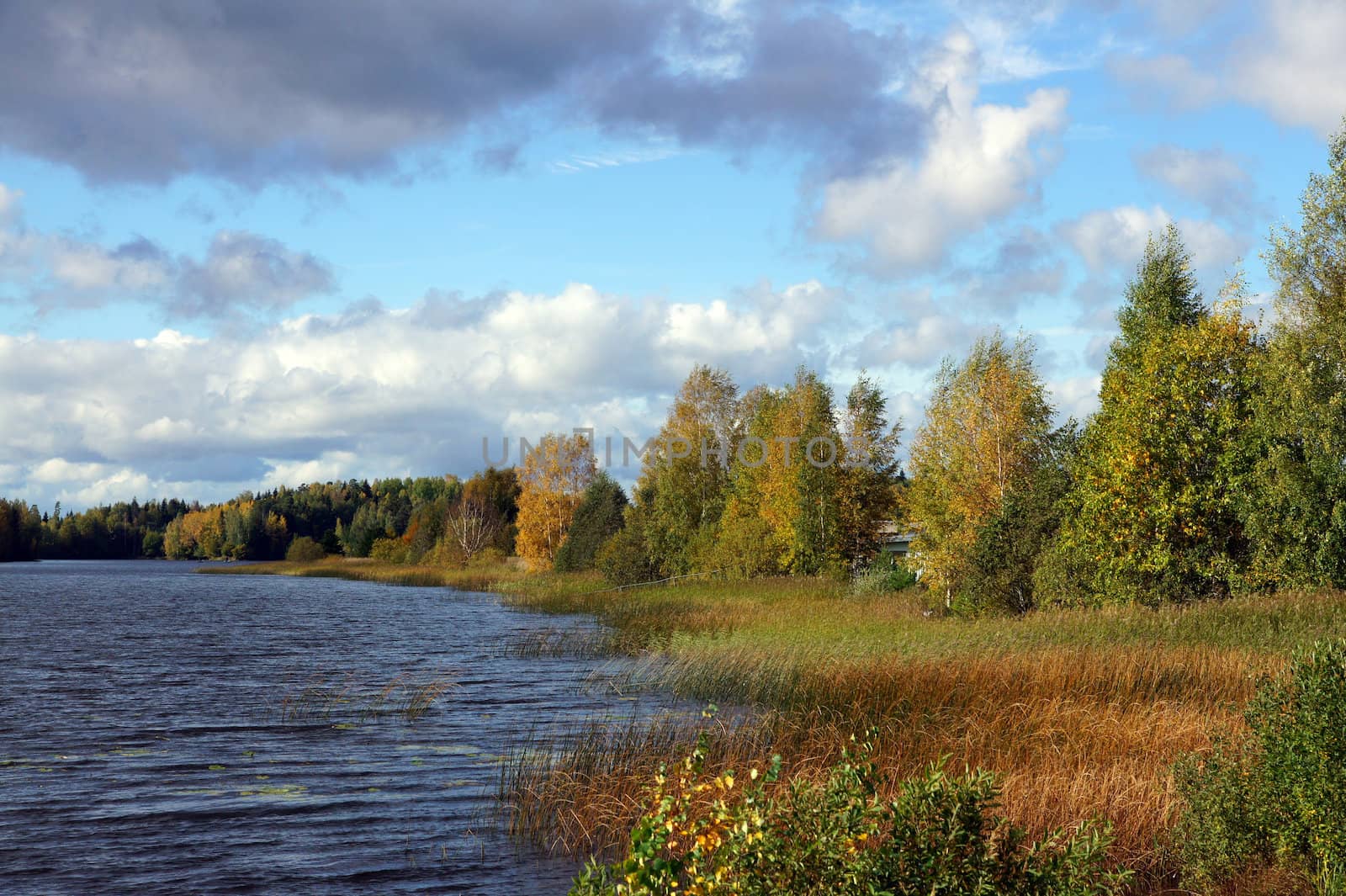 Lake and trees on a background of the sky