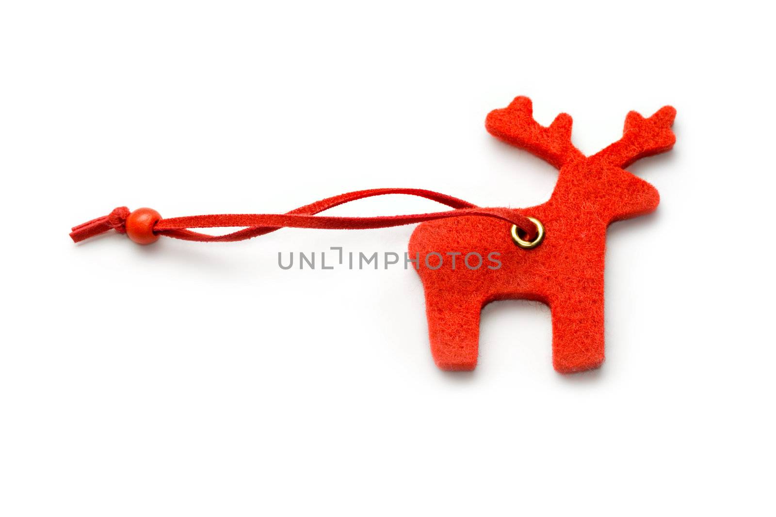 Reindeer on the white background.