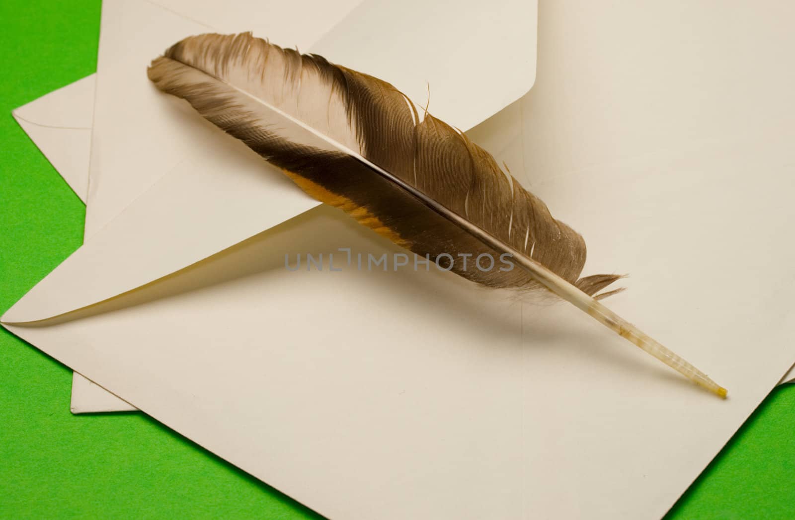 Envelope and feather isolated on green by Garsya