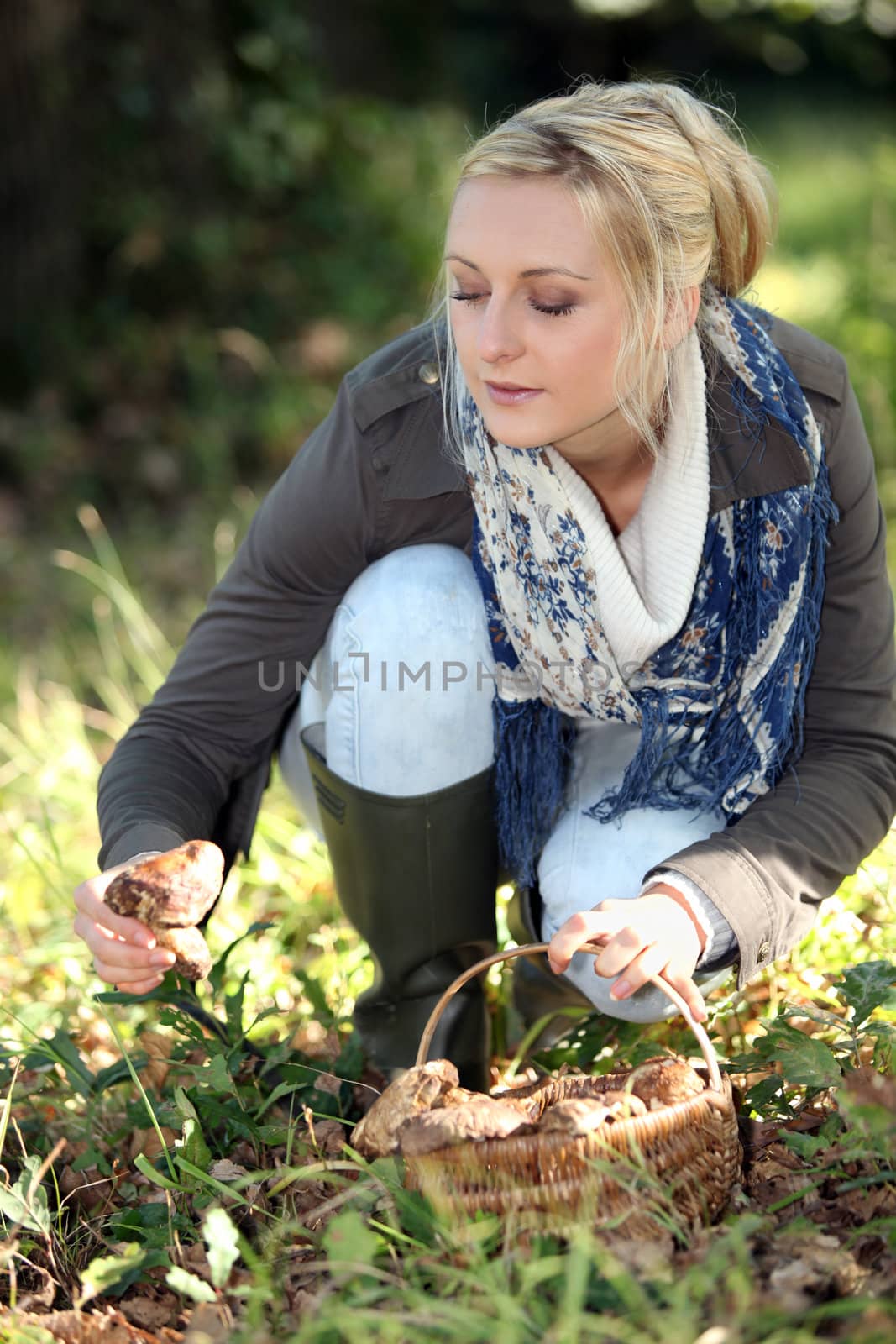 Woman gathering wild mushrooms by phovoir