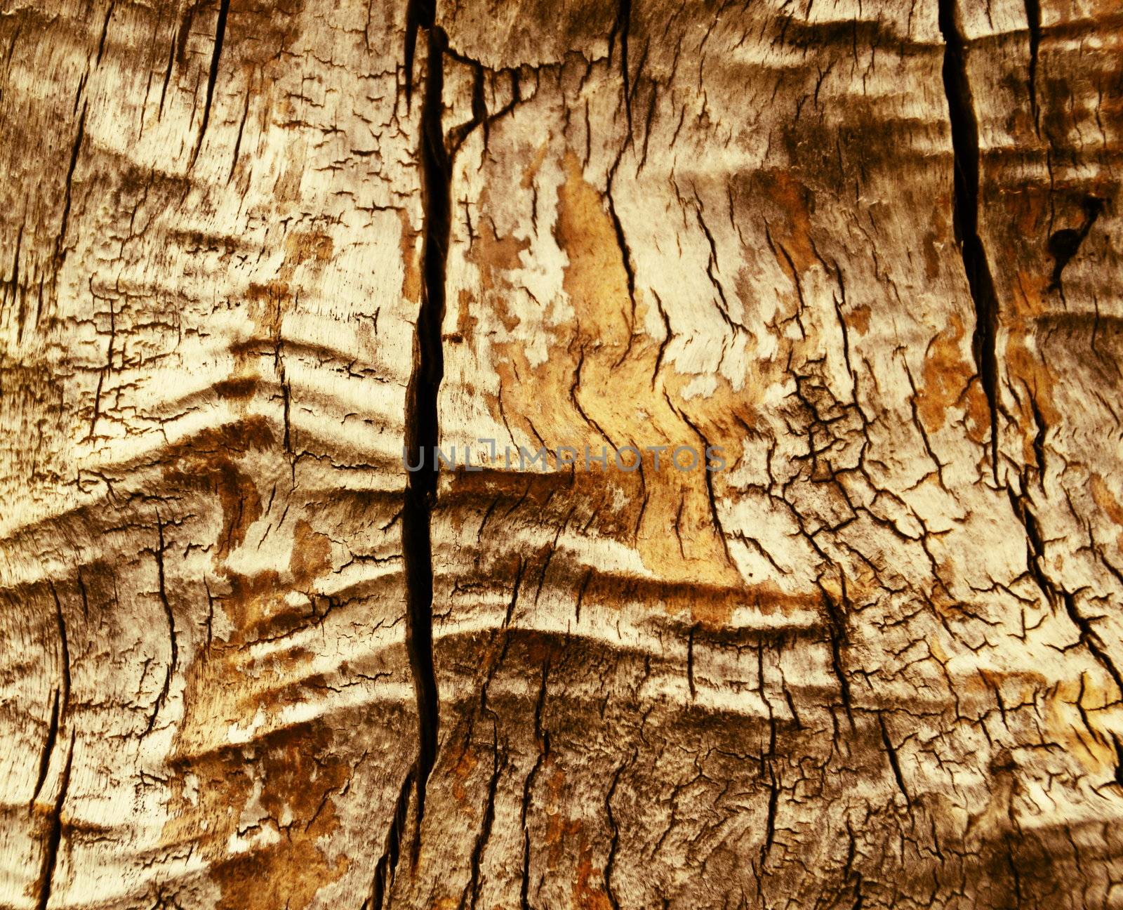 texture old wood brown ocher paint with cracks