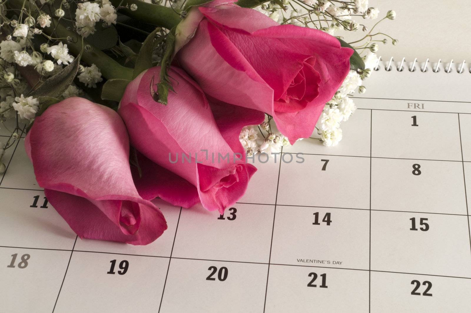 Three pink roses on a calender open to Valentine's Day.