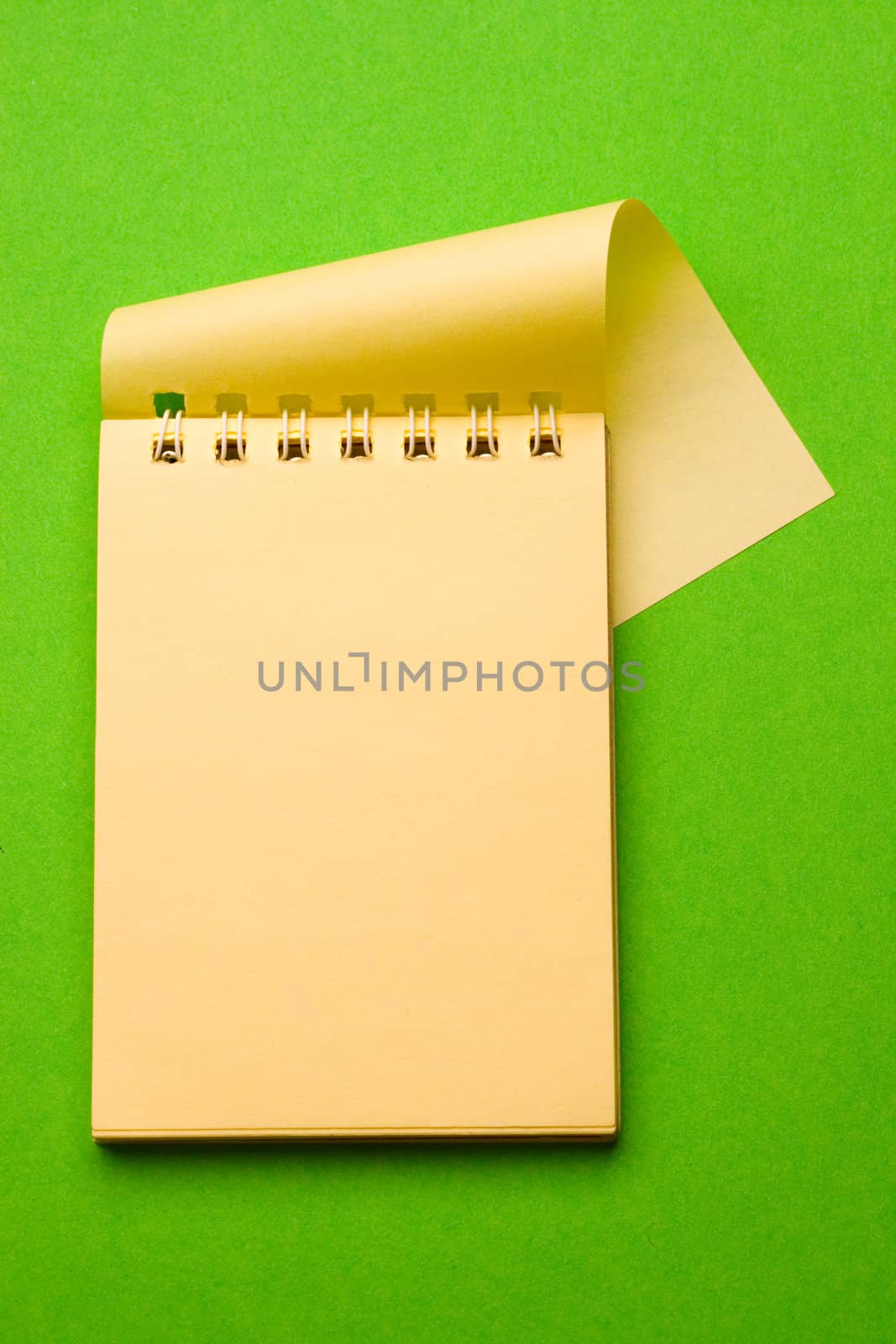 Notepad isolated on the green background