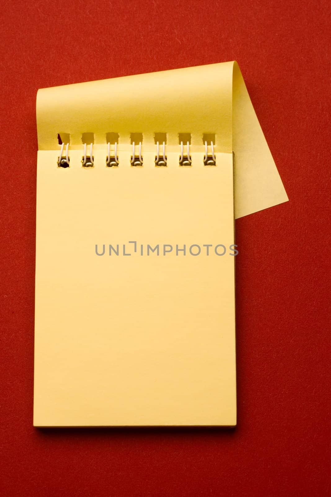 Notepad isolated on the red background by Garsya
