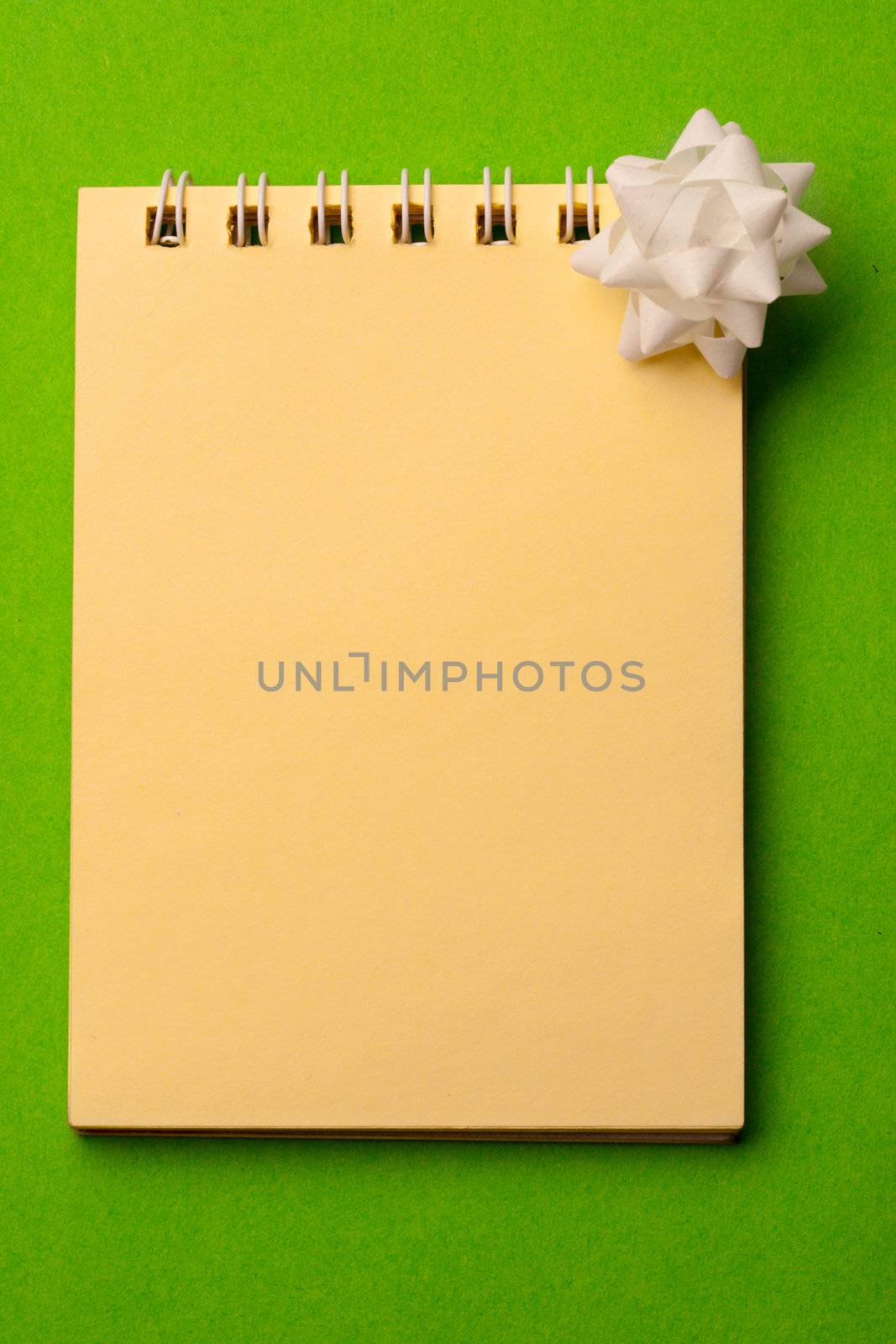 Notepad and bow isolated on green by Garsya