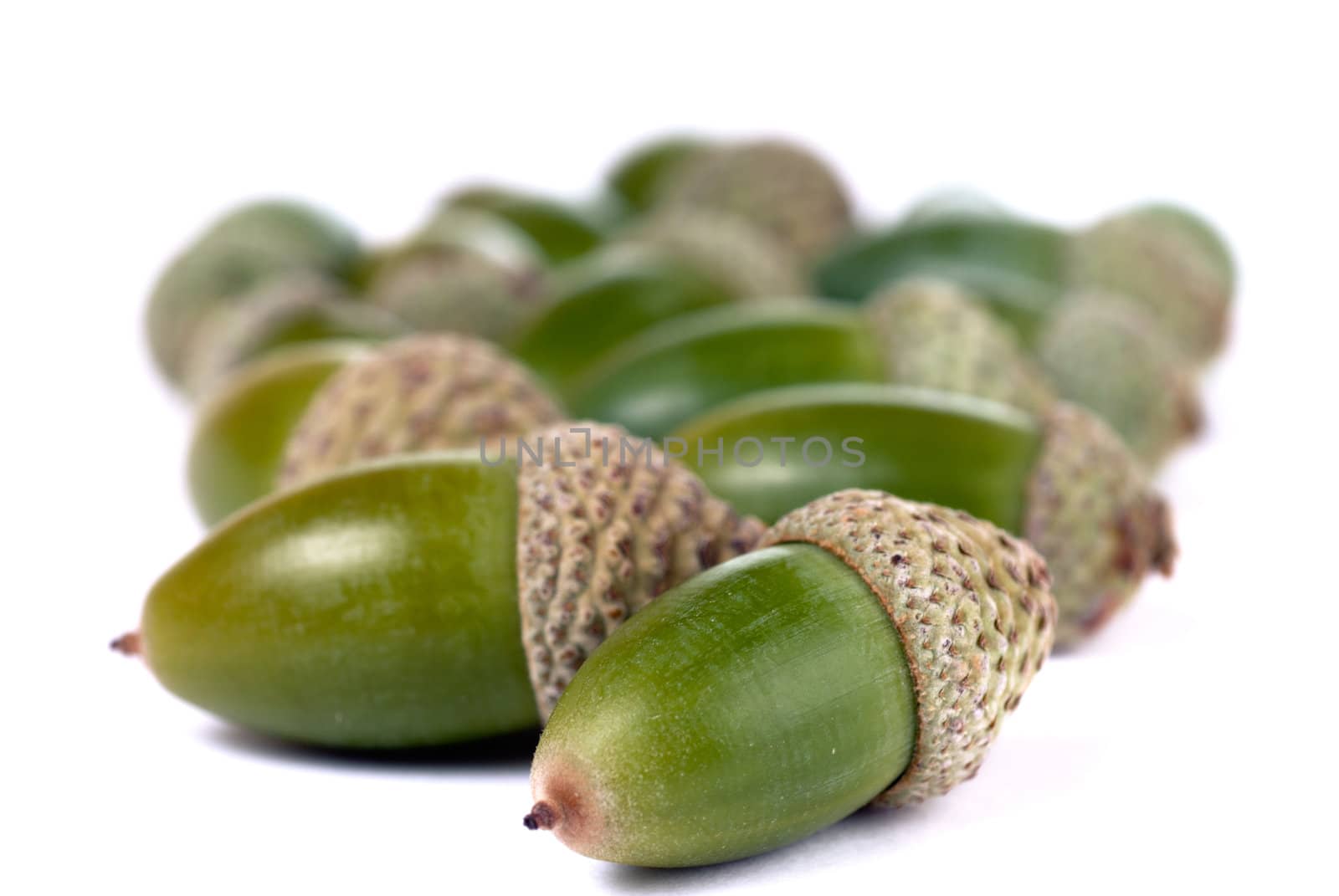 Heap of green acorns isolated on white background by mahout