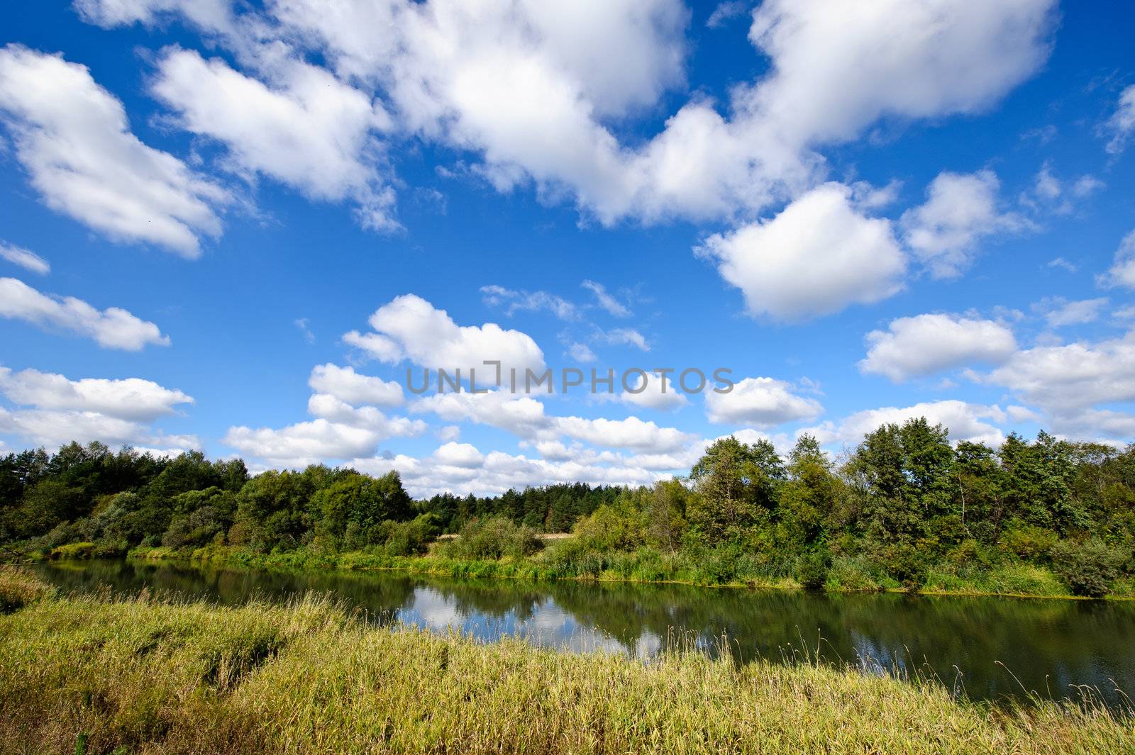 Summer landscape with river and cloudy sky