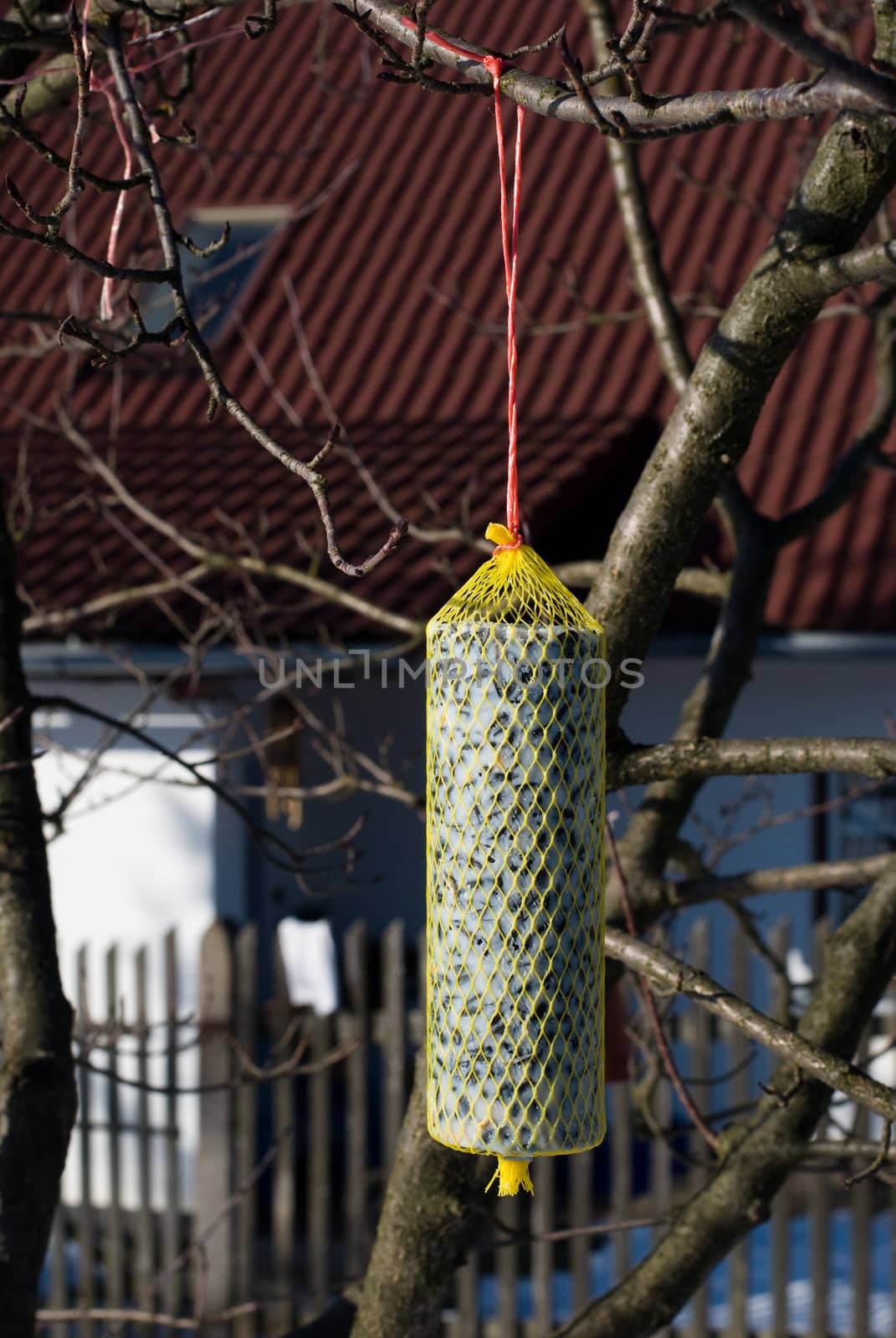 birdtable 