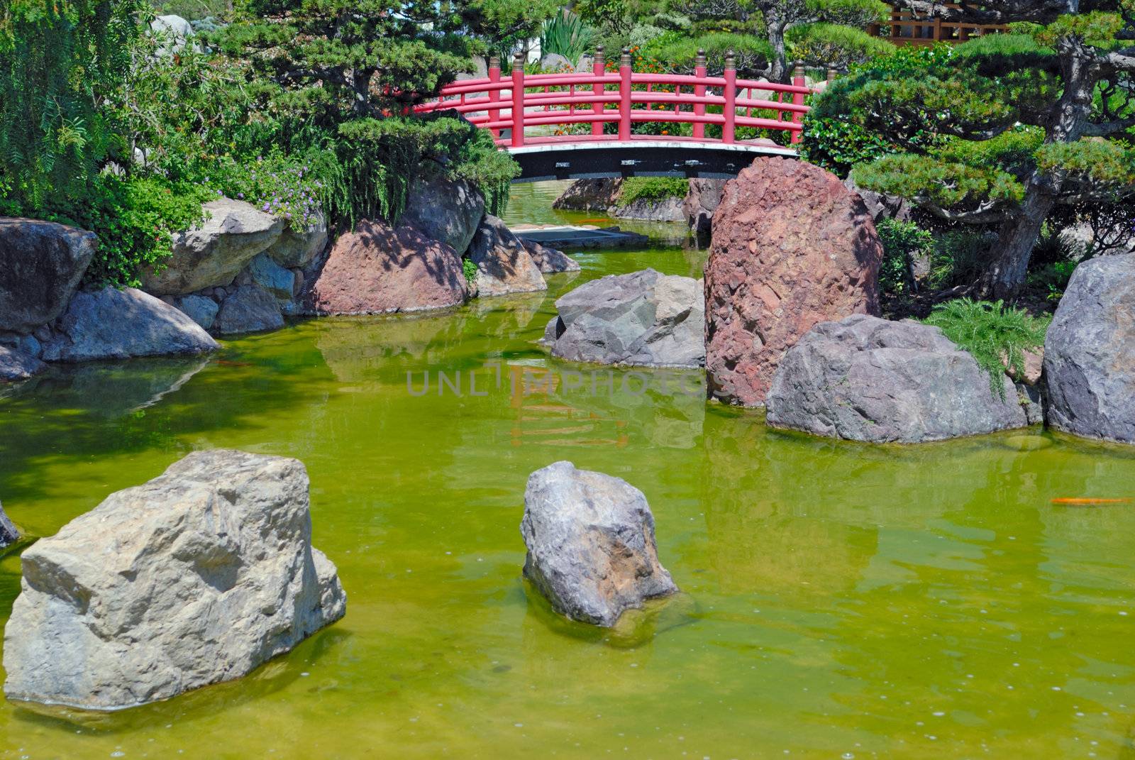 Japanese red bridge in zen garden by mahout