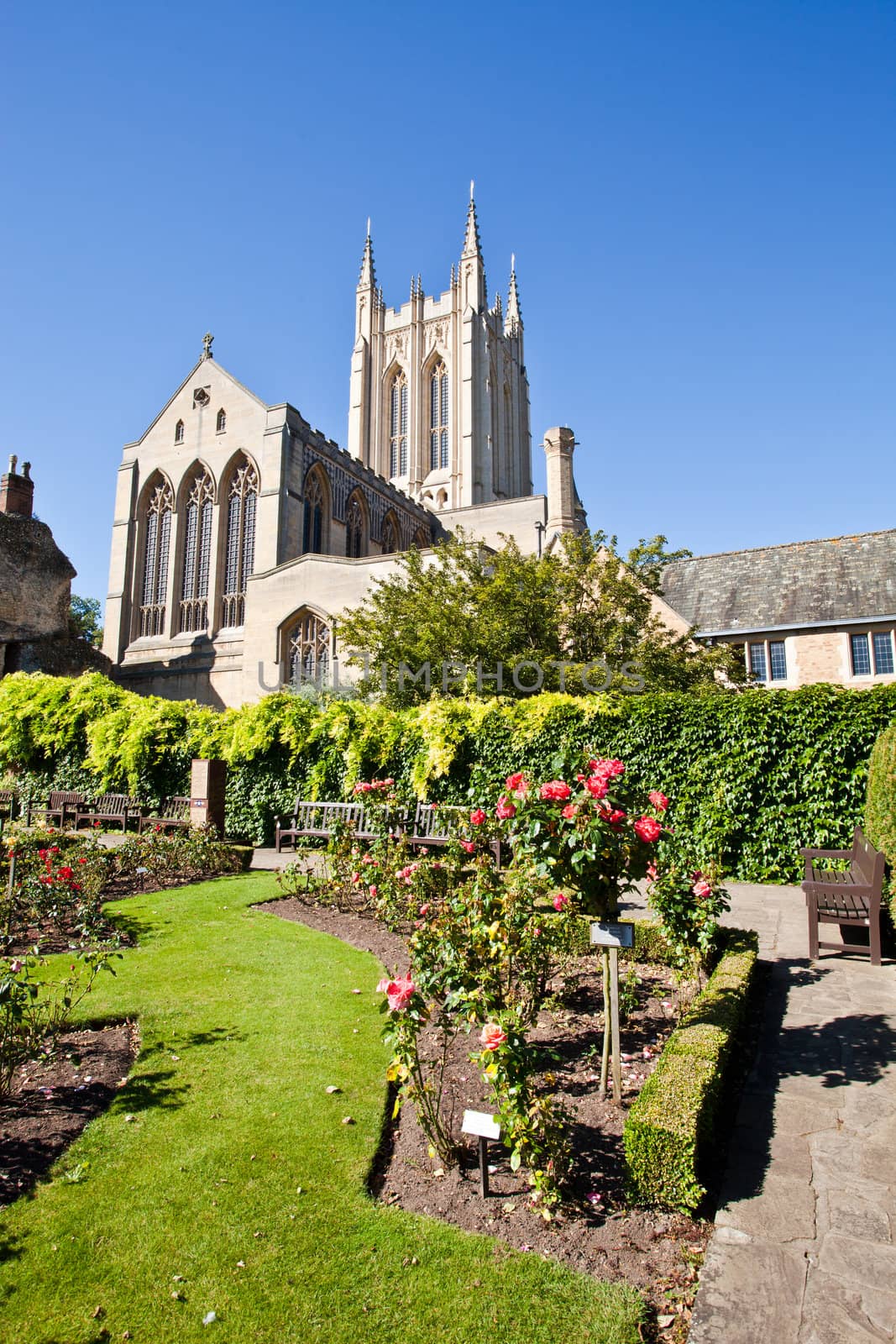 St Edmundsbury Cathedral in England, with a rose garden in the foreground