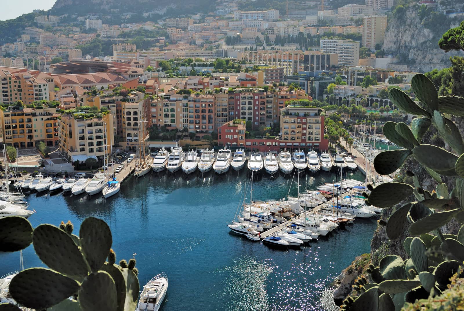 Yachts and apartments in port Fontvieille in Monte Carlo by mahout