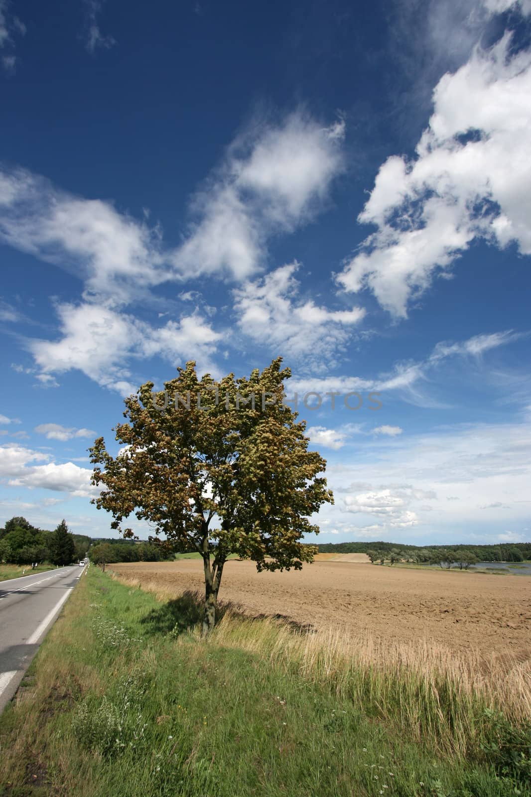 Czech Republic countryside. Summertime weather, blue sky and white clouds. South Bohemian region.
