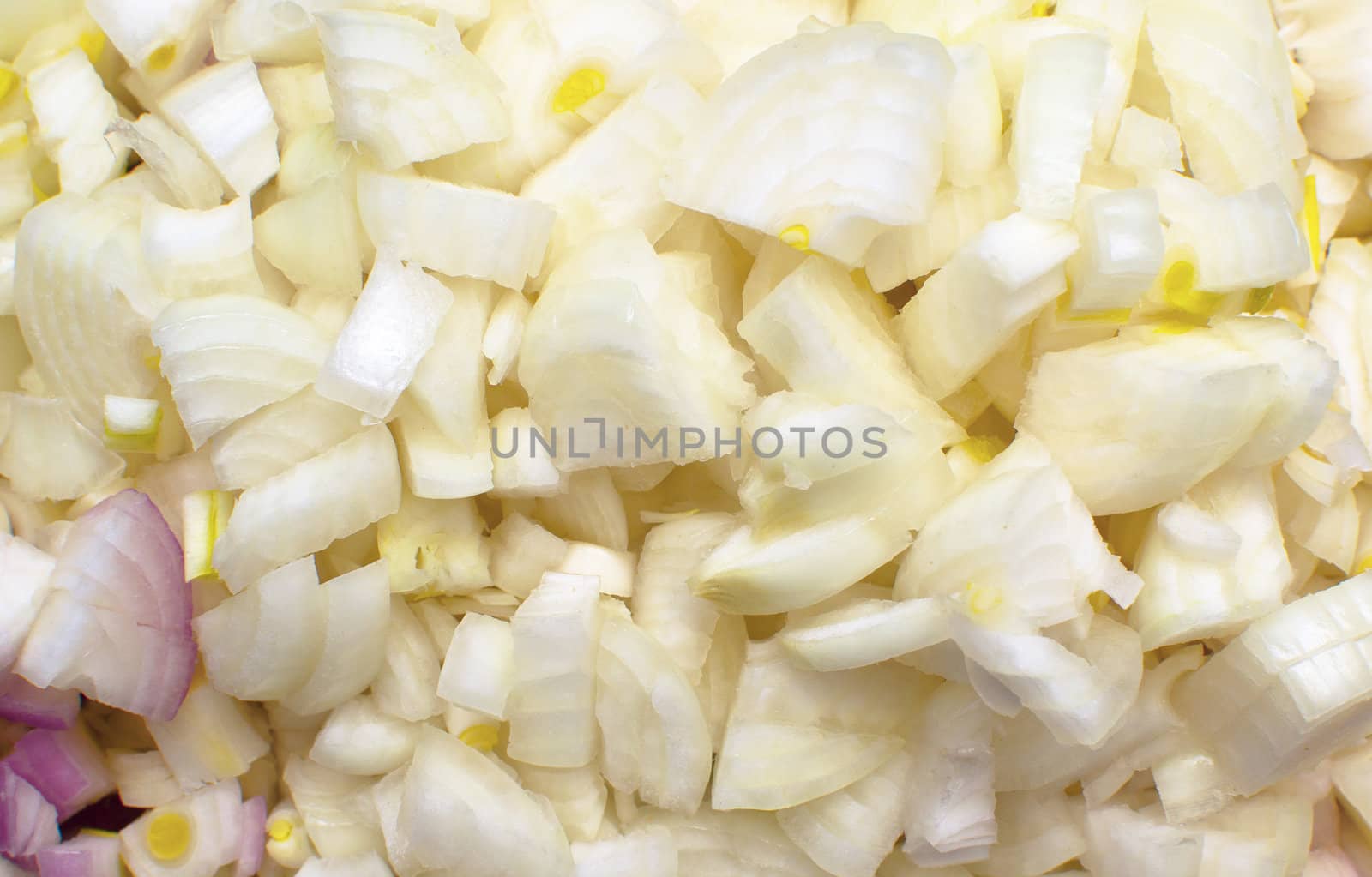 onion texture by Lexxizm