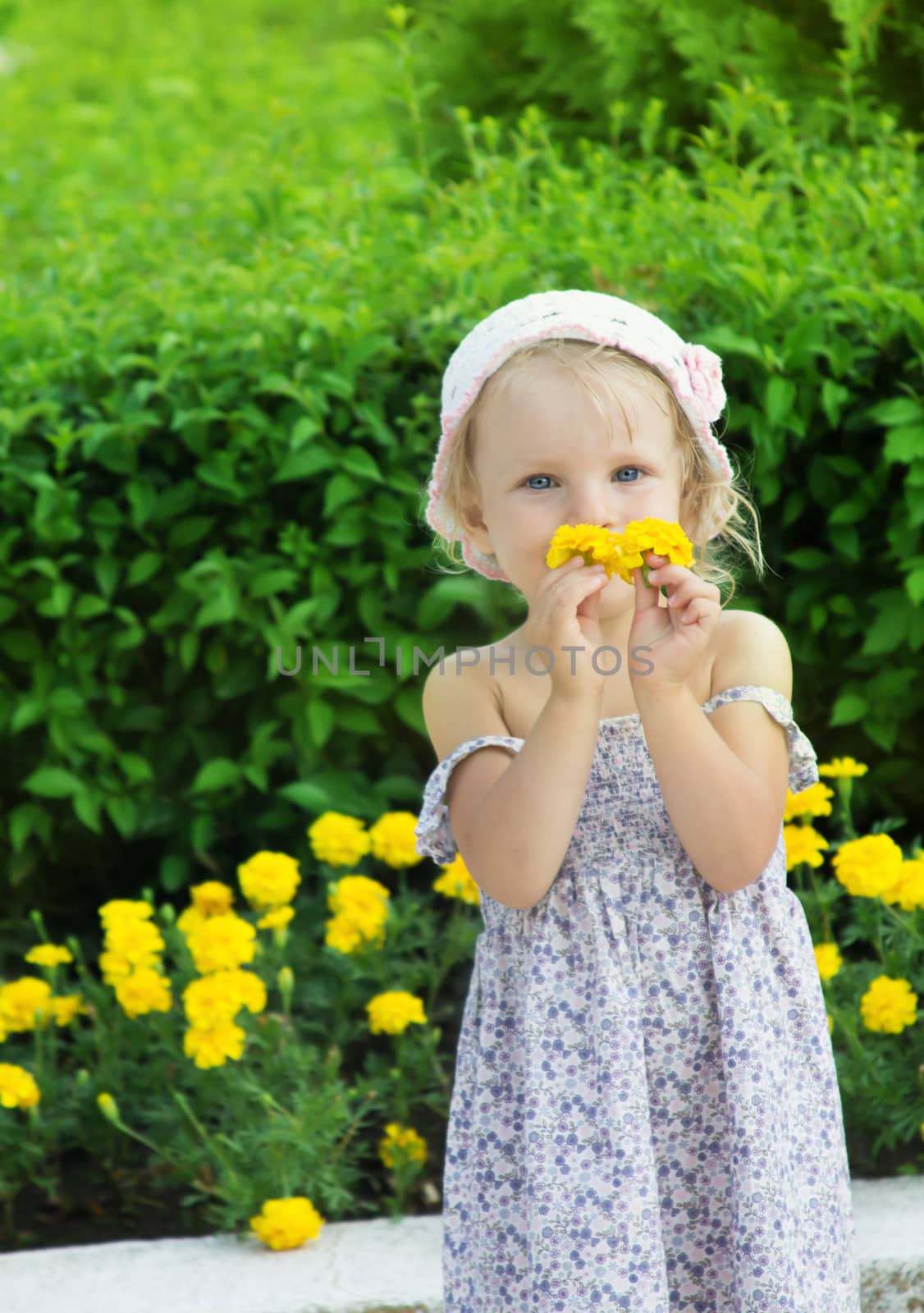 Lovely girl sniffing yellow flowers in the park