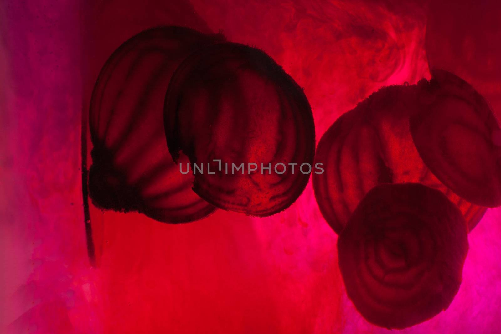 sliced raw beet