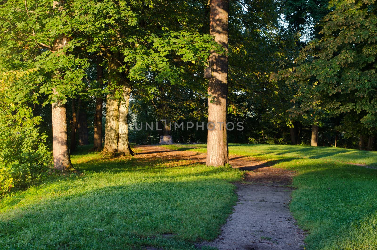 beautiful park path and trees sunlight morning sun and old pagan stone altar in distance.
