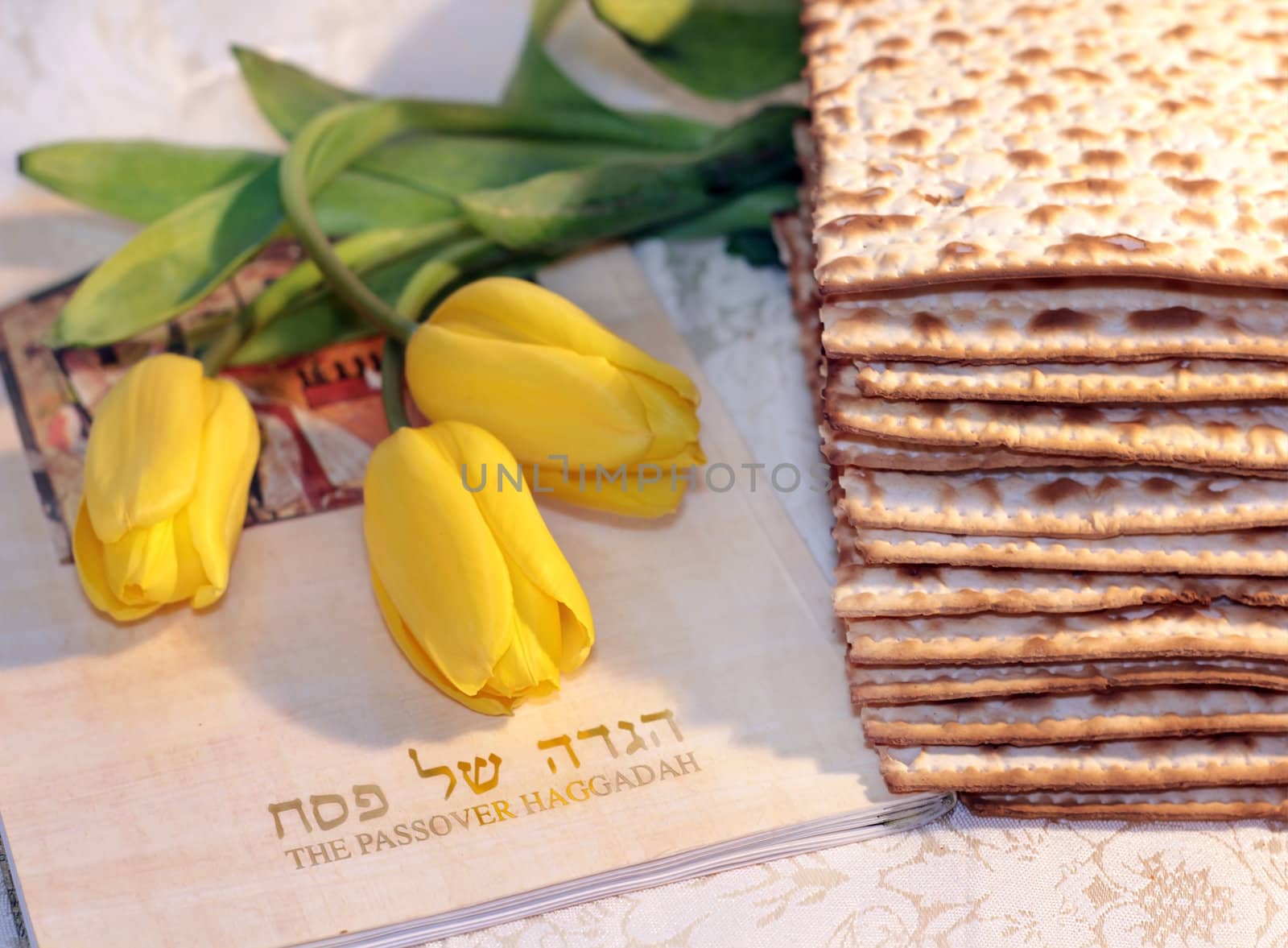joyful spring festival - jewish holiday of Passover by irisphoto4