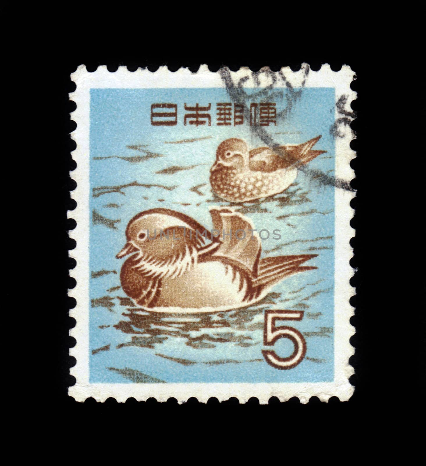 Japan - CIRCA 1961: a stamp printed in the Argentina shows Mandarin Duck, circa 1961