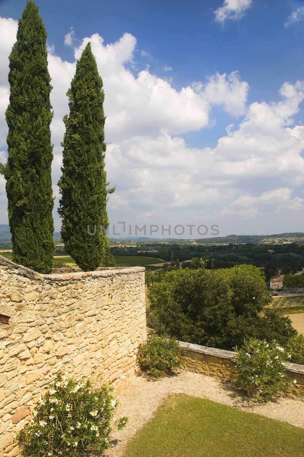 landscape with cypress trees in the region of Luberon, Provence, France