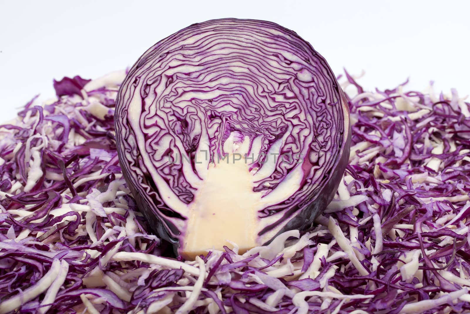 White and Red  Cabbage