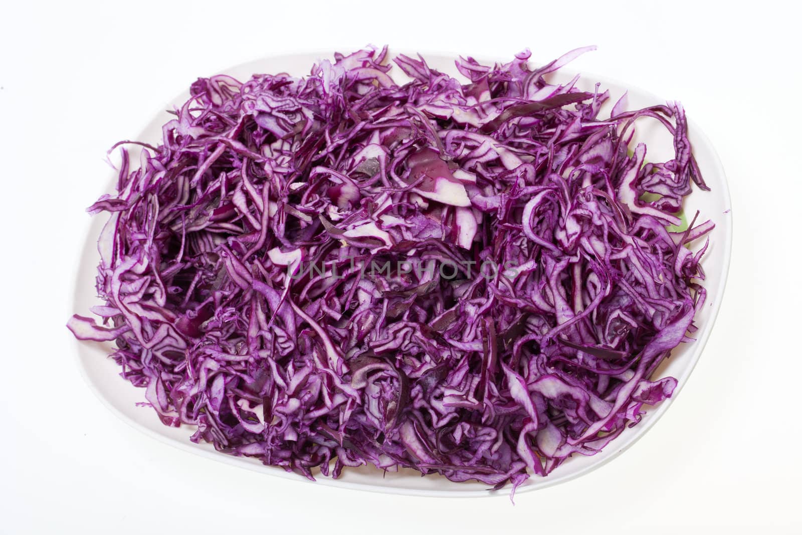  Red  Cabbage  on White Background 
