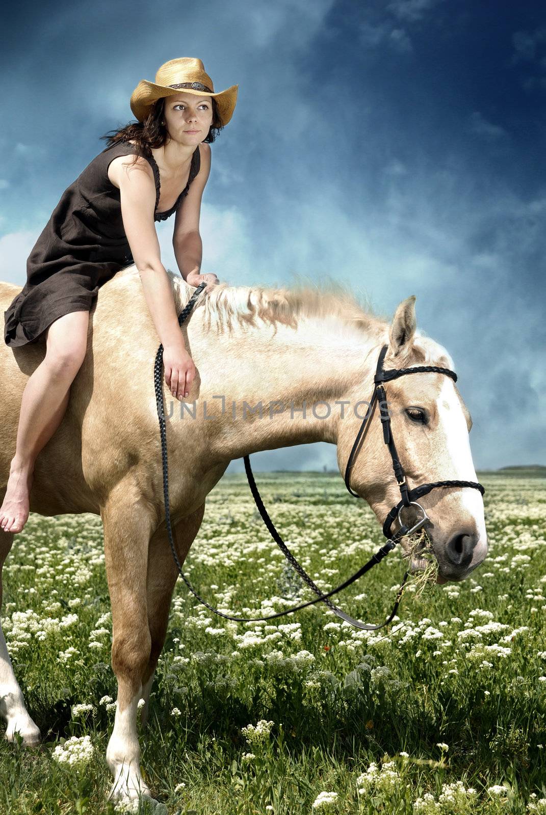 Portrait of the woman feeding her horse with grass